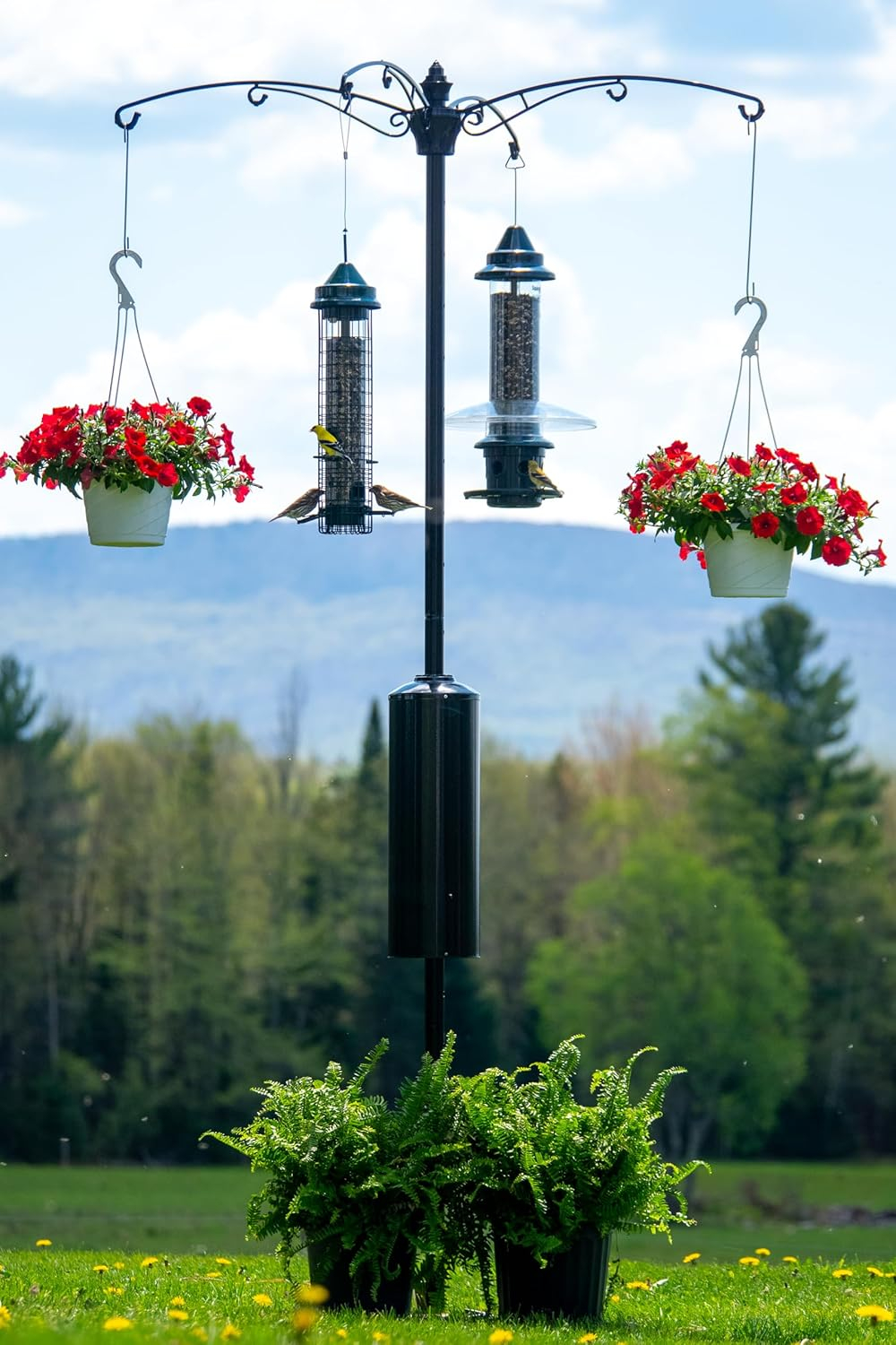 Brome Raccoon Buster Guardian Pole for Bird Feeders/Planters, w/Bullseye Level and Torque Bar, Heavy Duty, 1.5-inch Diameter, 8ft Installed, Black
