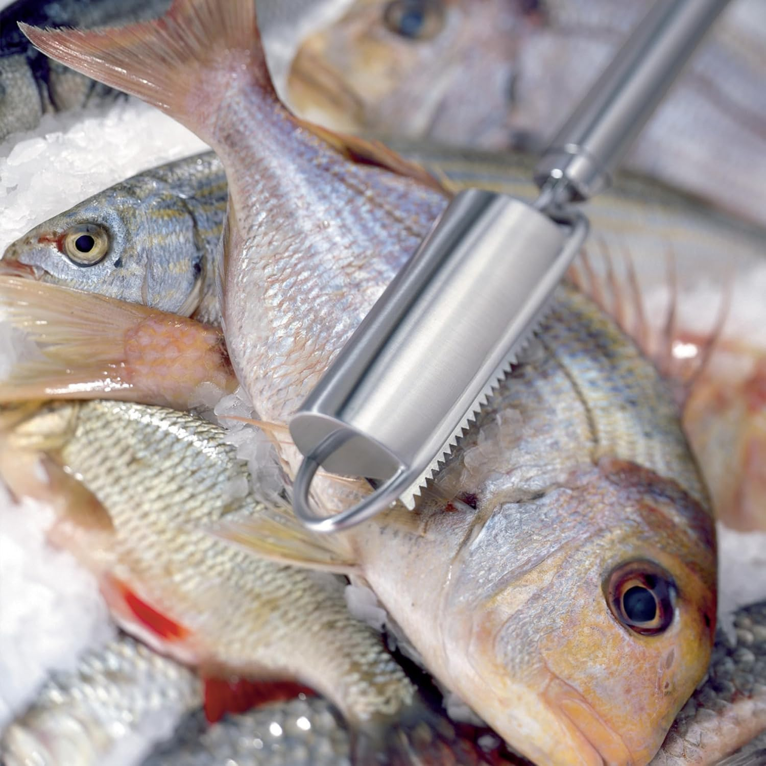 Black Polypropylene Handle Stainless Steel Fish Scaler