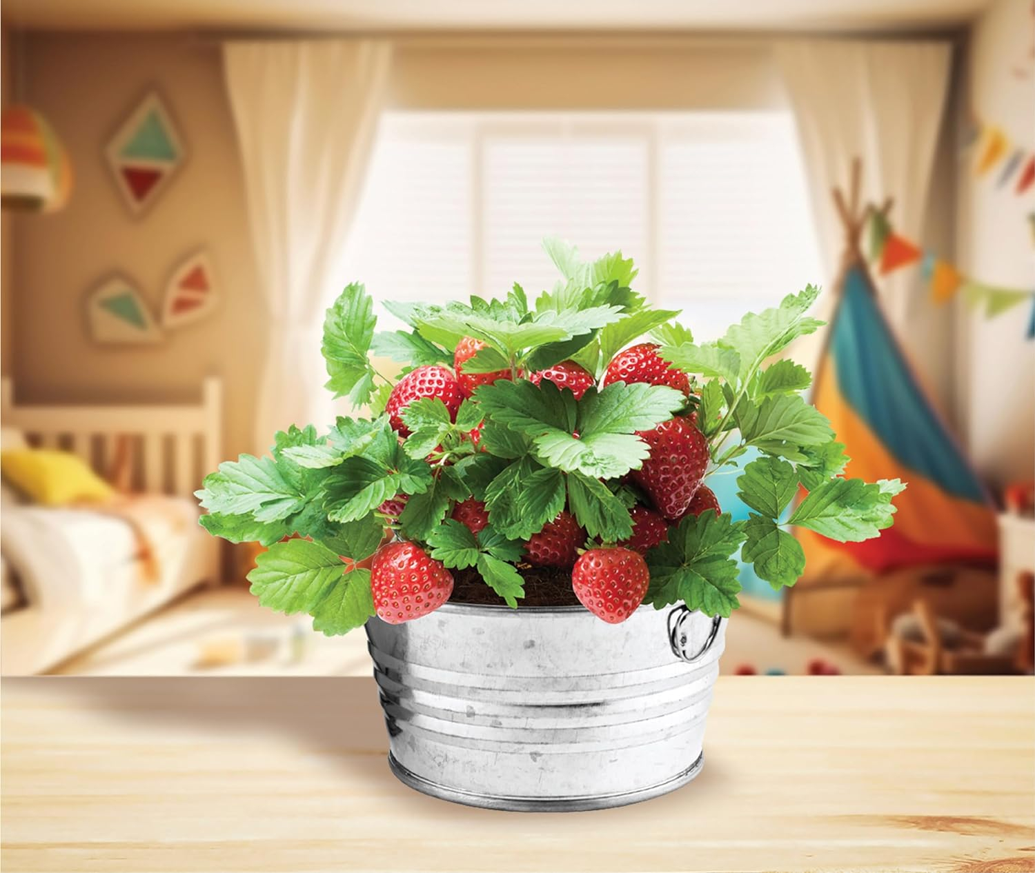 Vintage-Inspired Metal Mini Basin Strawberry Grow Kit
