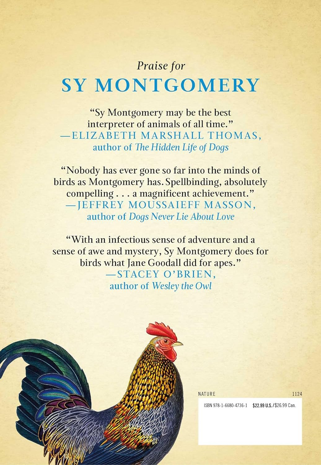 What the Chicken Knows - by  Sy Montgomery (Hardcover)