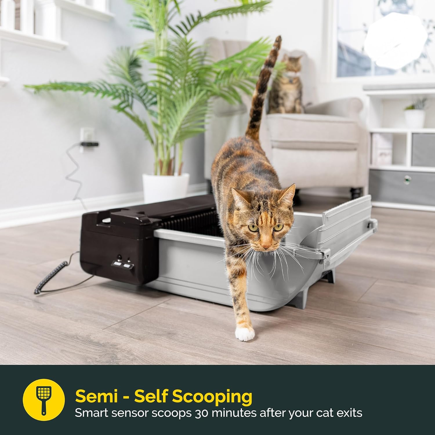 Pet Zone Smart Scoop Automatic Cat Litter Box