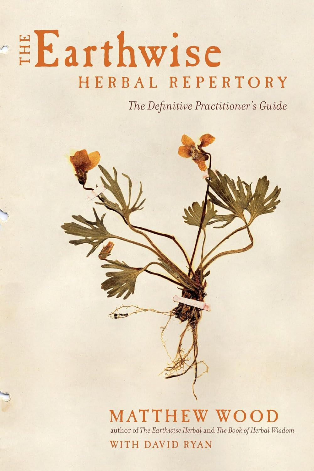 The Earthwise Herbal Repertory - by  Matthew Wood (Paperback)