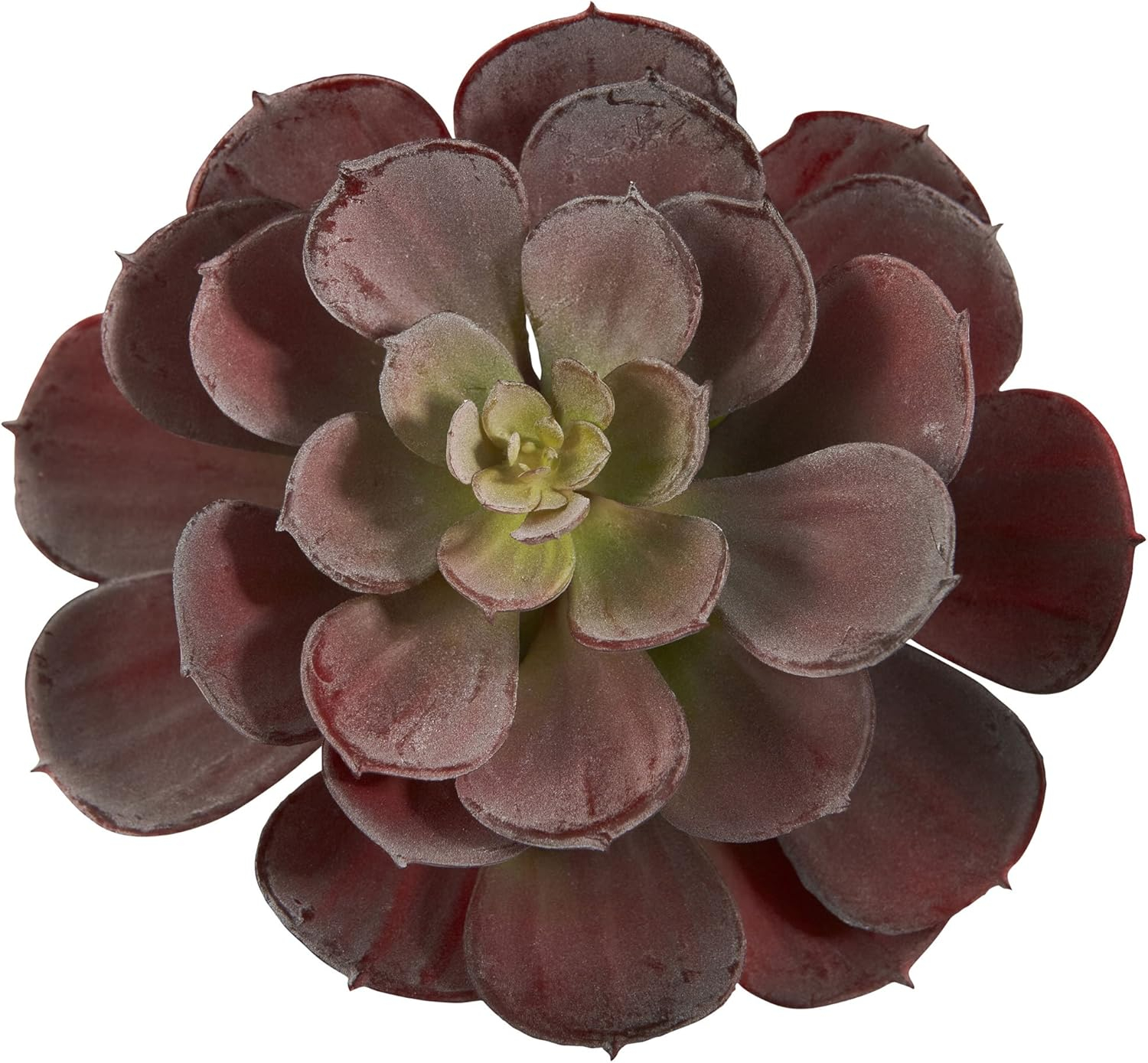 Nearly Natural 6 Echeveria Succulent - Set of 12 Burgundy