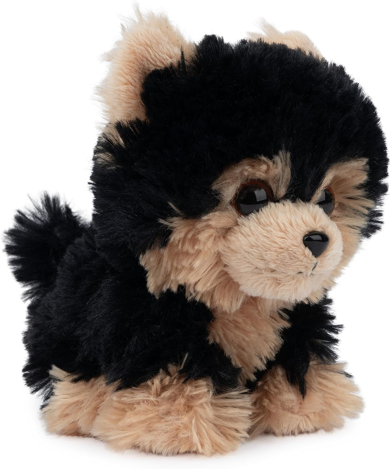 GUND Boo, The World’s Cutest Dog, Boo & Friends Collection Yorkie Puppy, Stuffed Animal for Ages 1 and Up, 5”