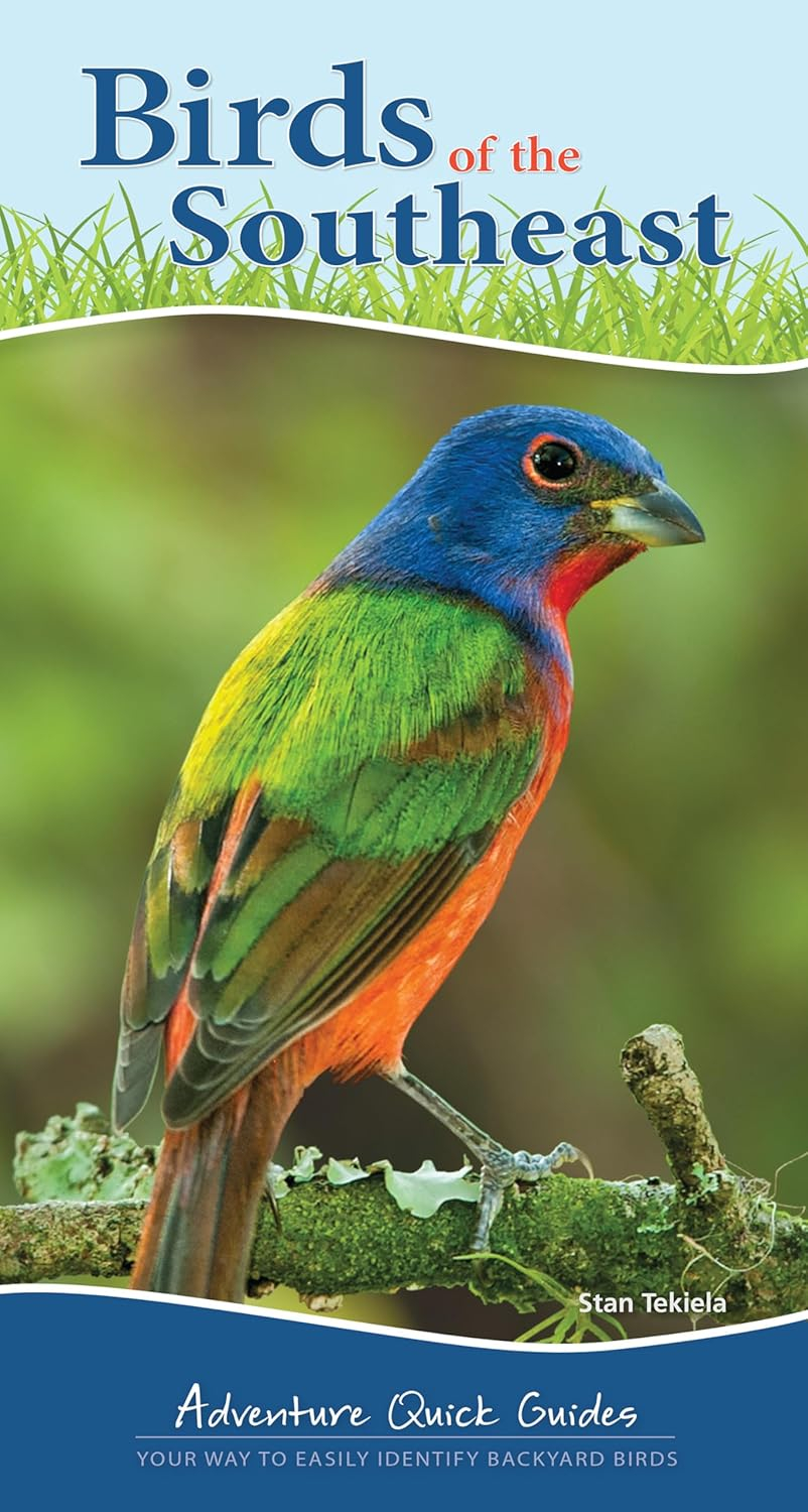 Compact Spiral-Bound Illustrated Guide to Southeast Birds