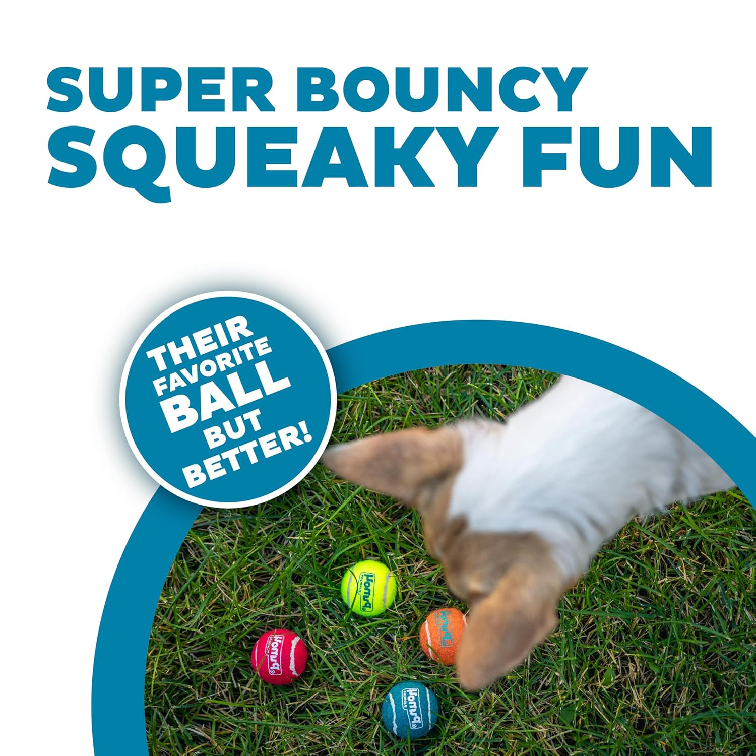 Outward Hound Squeaker Ballz Fetch Dog Toy, XS - 4 Pack