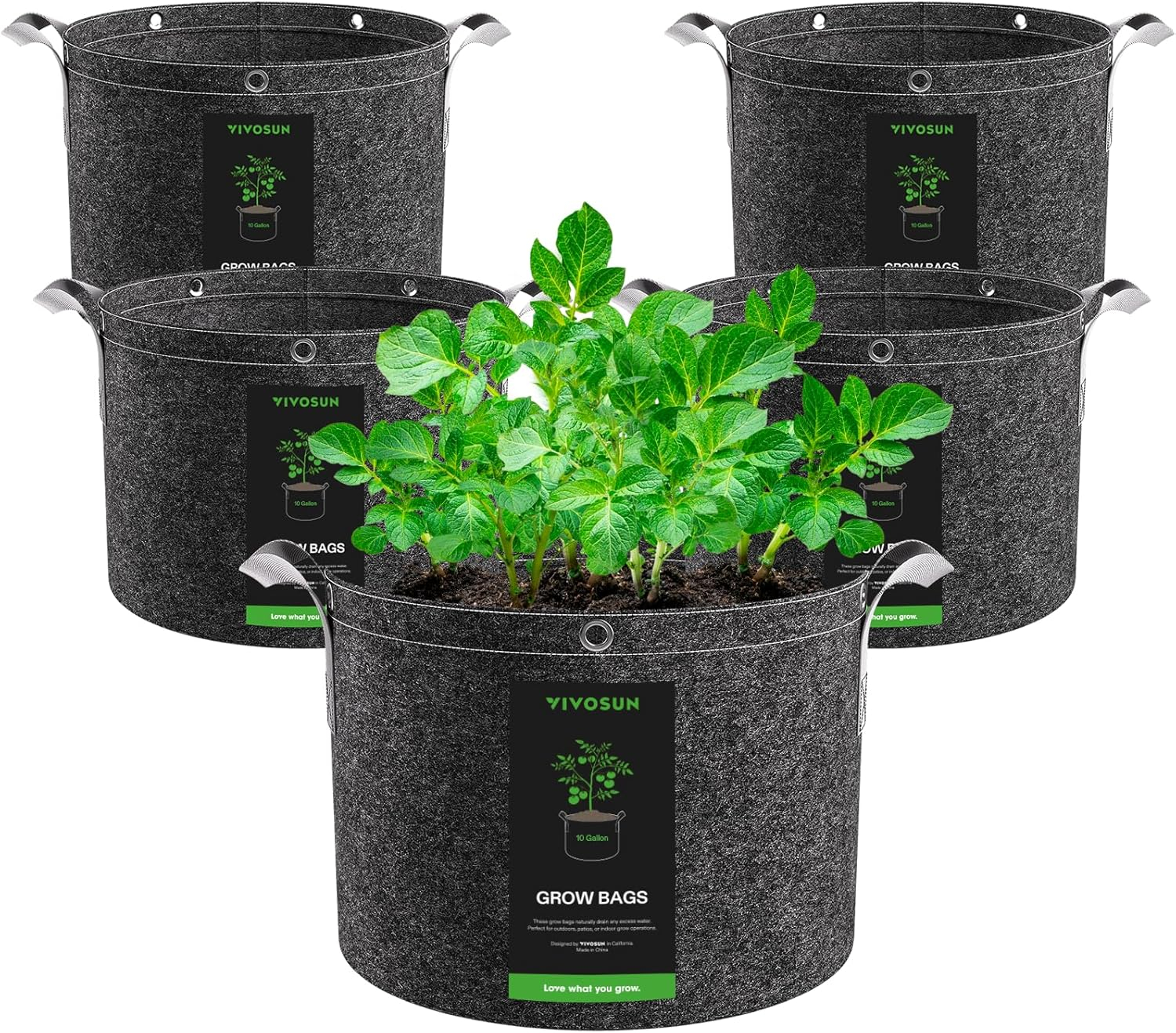 VIVOSUN 5-Pack 3 Gallon Grow Bags, 500G Thick Nonwoven Fabric Pots with Strap Handles, Multi-Purpose Rings, for Low Stress Plant Training Fruits, Vegetables, and Flowers