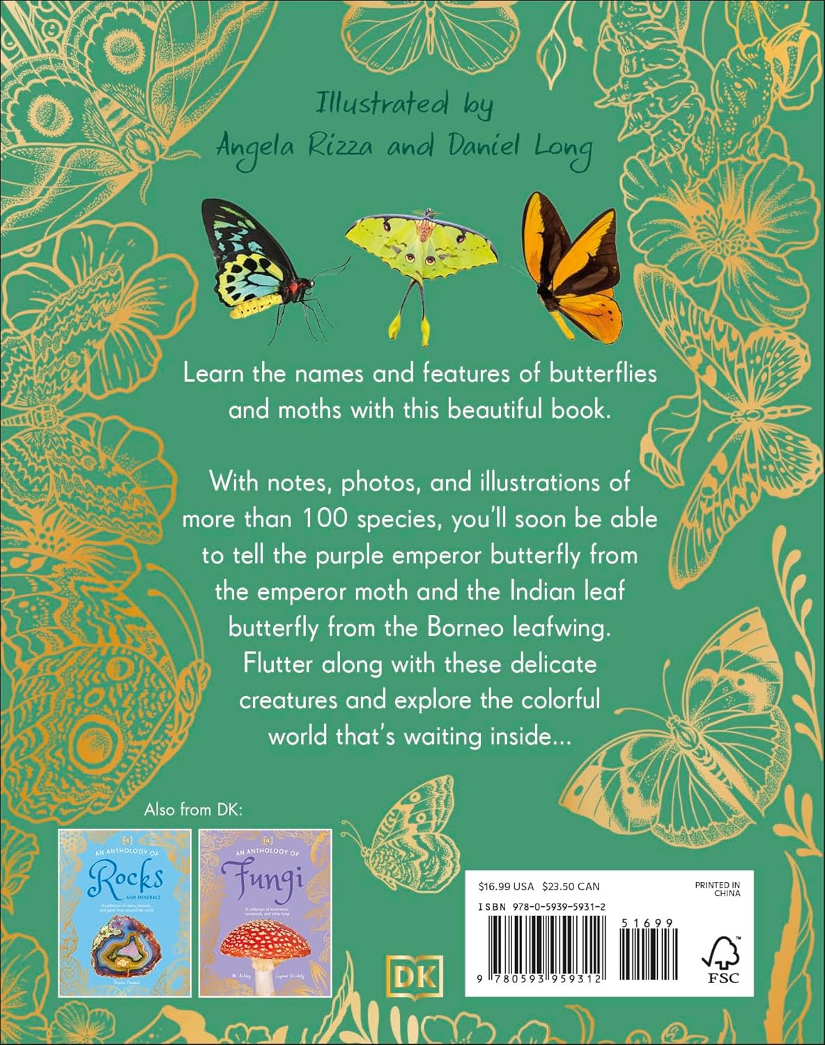 An Anthology of Butterflies and Moths - (DK Little Anthologies) by  Richard Jones (Hardcover)