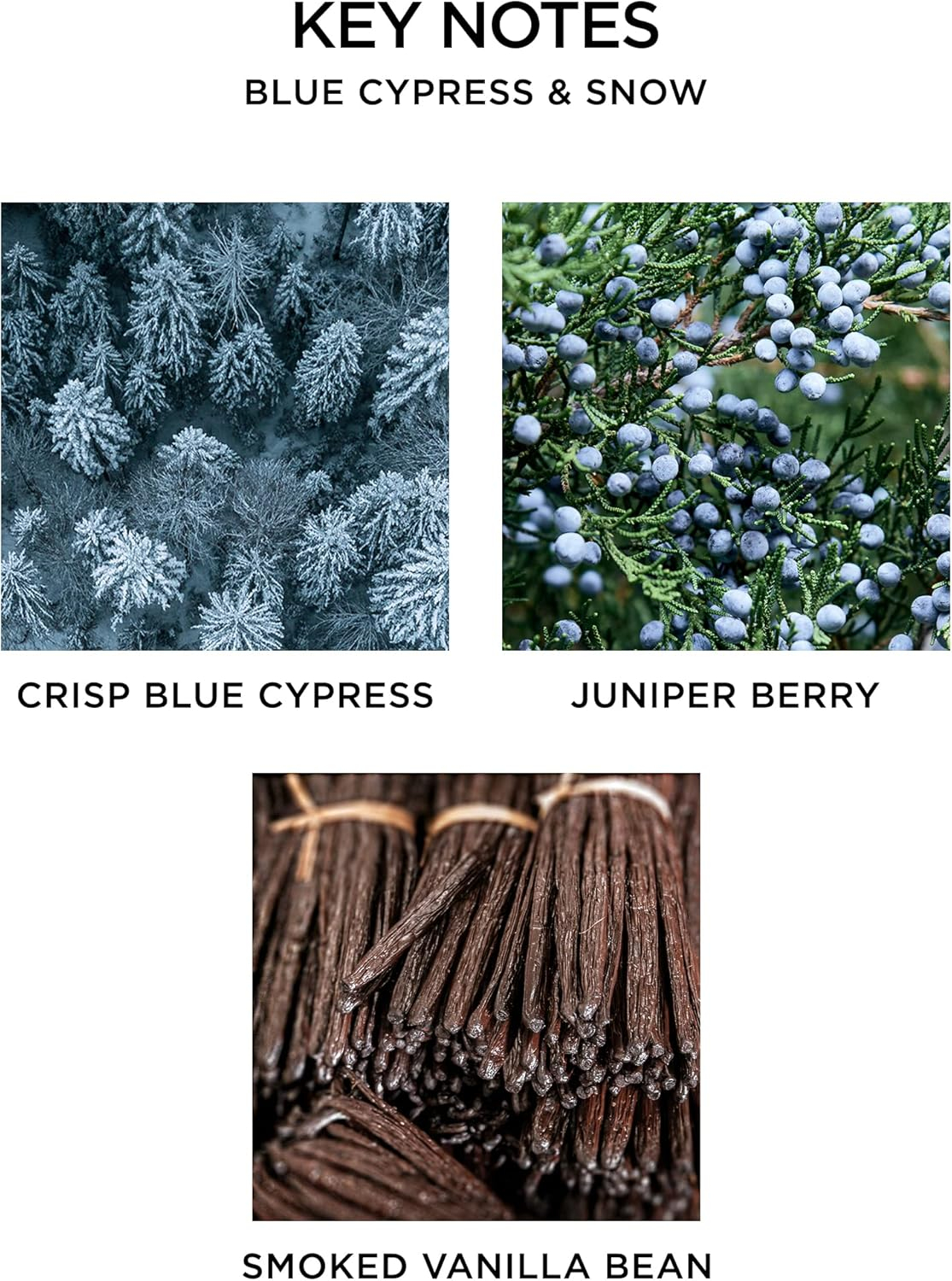 Nest Fragrances Reed Diffuser - Blue Cypress & Snow