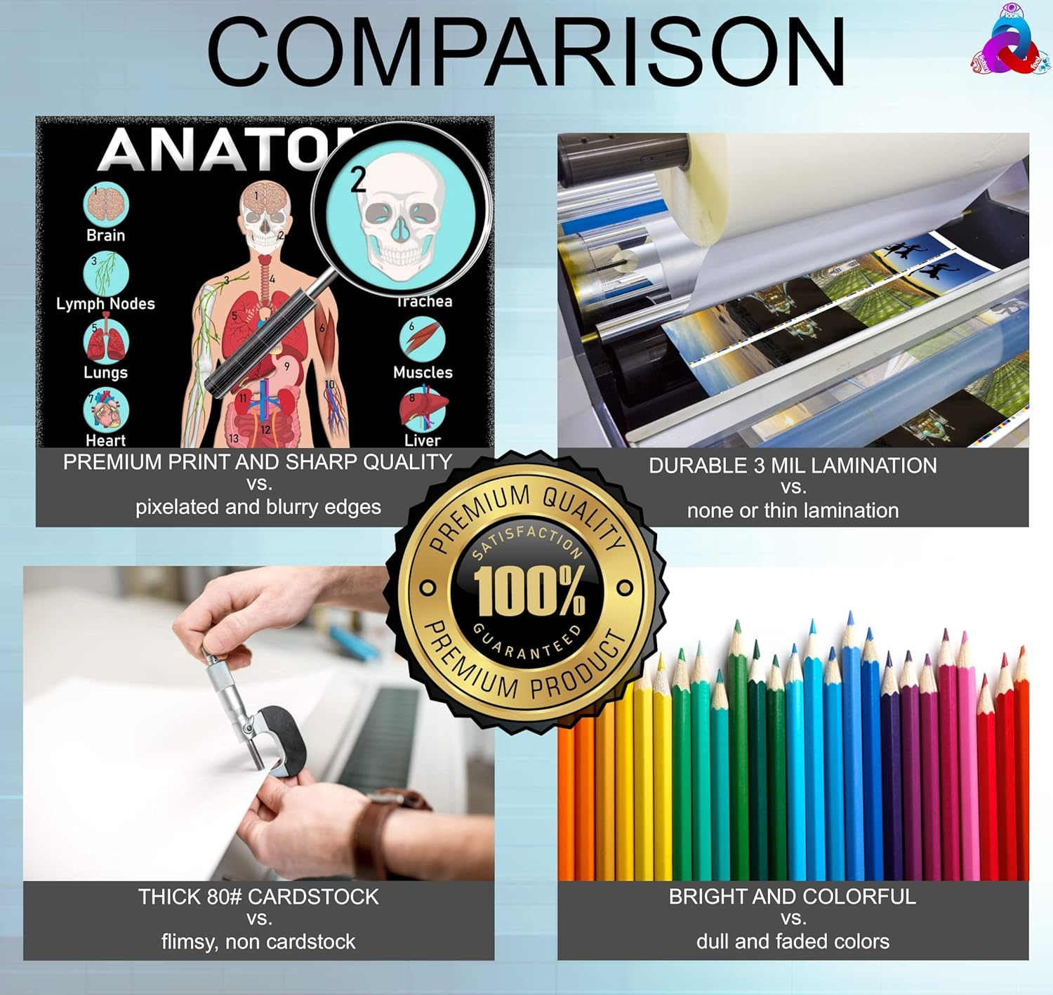 Human Anatomy & Body Systems Laminated Posters - 14x19.5, Science Educational Charts & Classroom Decorations, Back to School Supplies, Learning Posters for Biology Class, STEM & STEAM