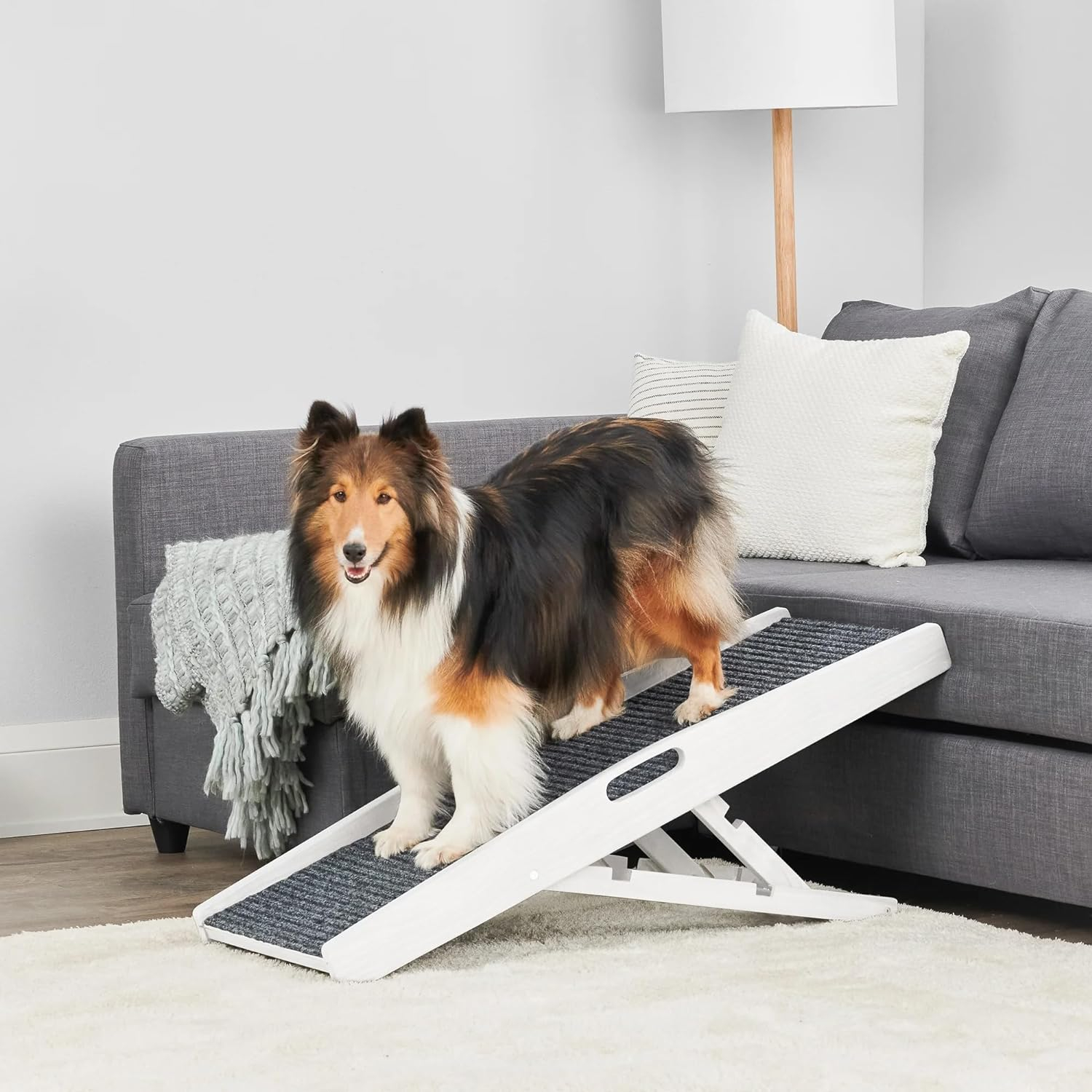 Carlson 39.5" Indoor Pet Ramp, White, Collapsible, Adjustable Height, Includes Handles, Non-Slip Carpet, and Rubber Feet.
