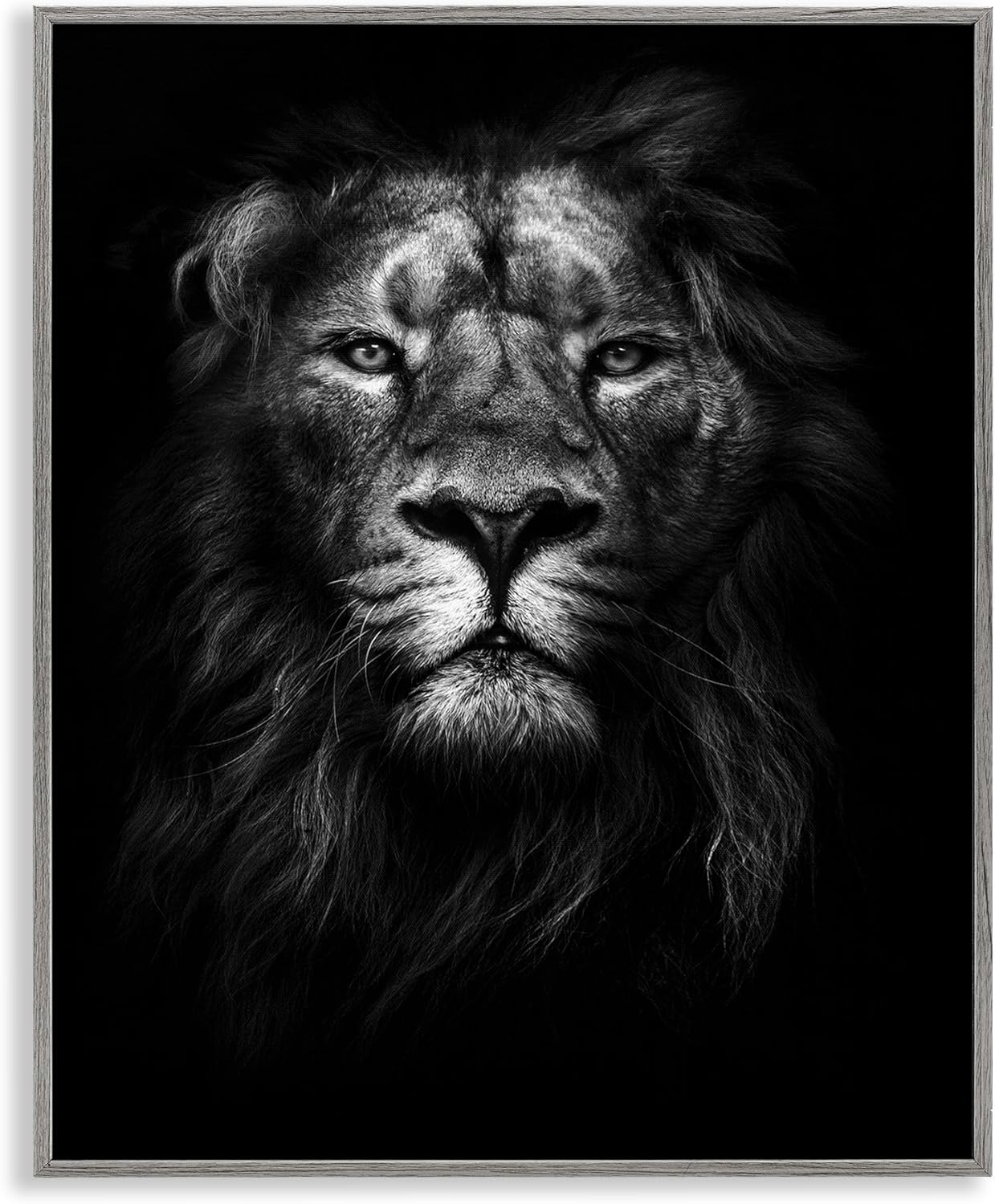 Stupell Industries King of the Jungle Lion In Shadows Black and White Photography, 16 x 20,Design by Design Fabrikken