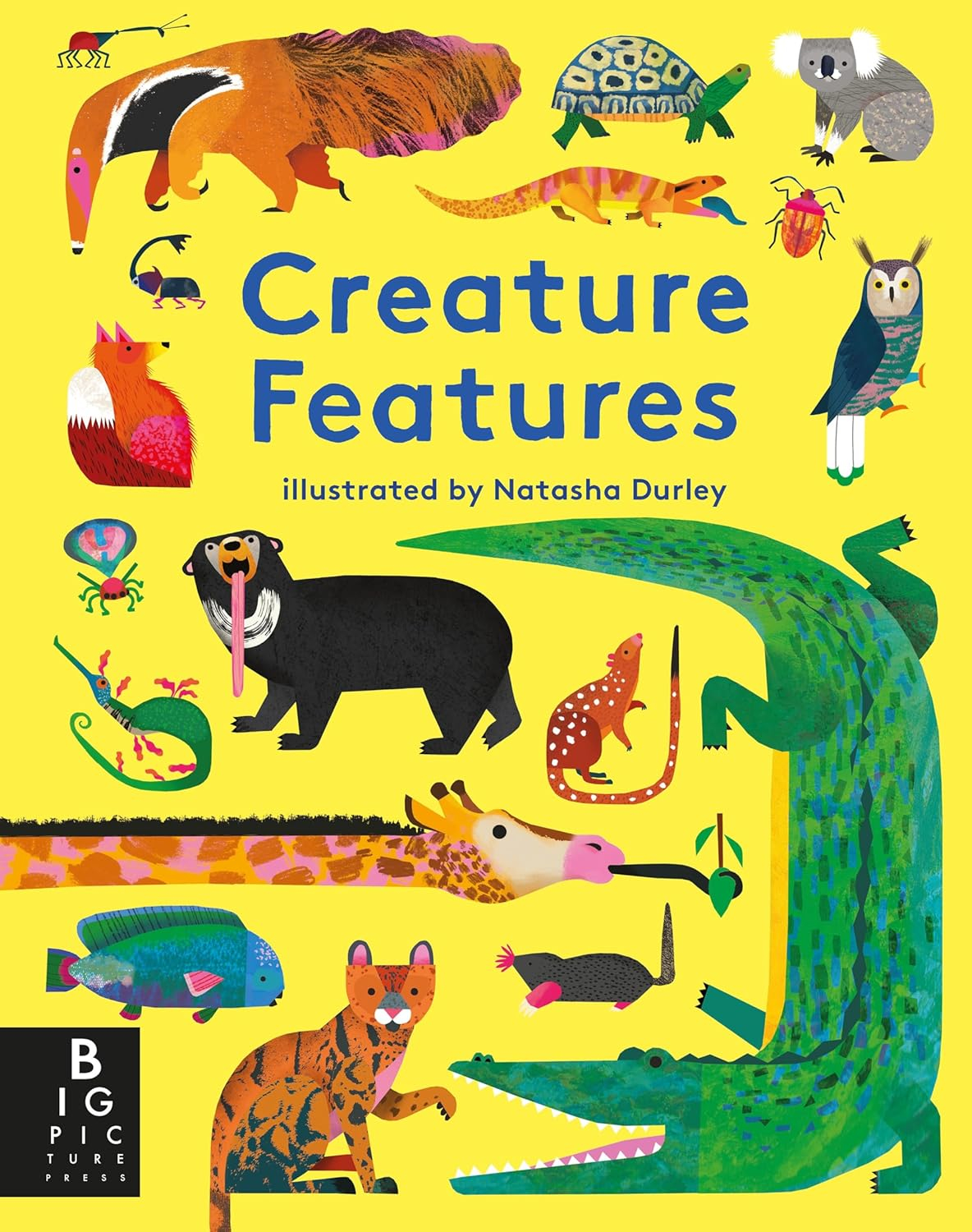 Creature Features Vibrant Illustrated Kids' Non-fiction Book