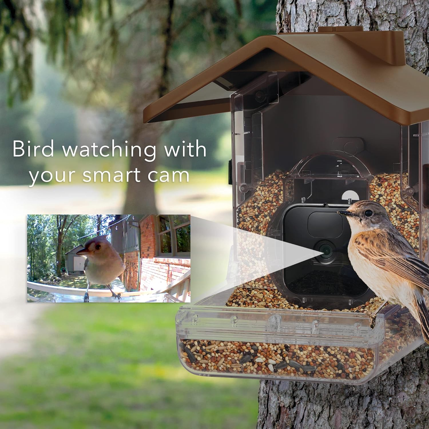 Wasserstein Bird Feeder Camera Case Compatible with Blink, Wyze, and Ring Cam - Bird Feeder for Bird Watching with Your Security Cam - (Camera NOT Included)
