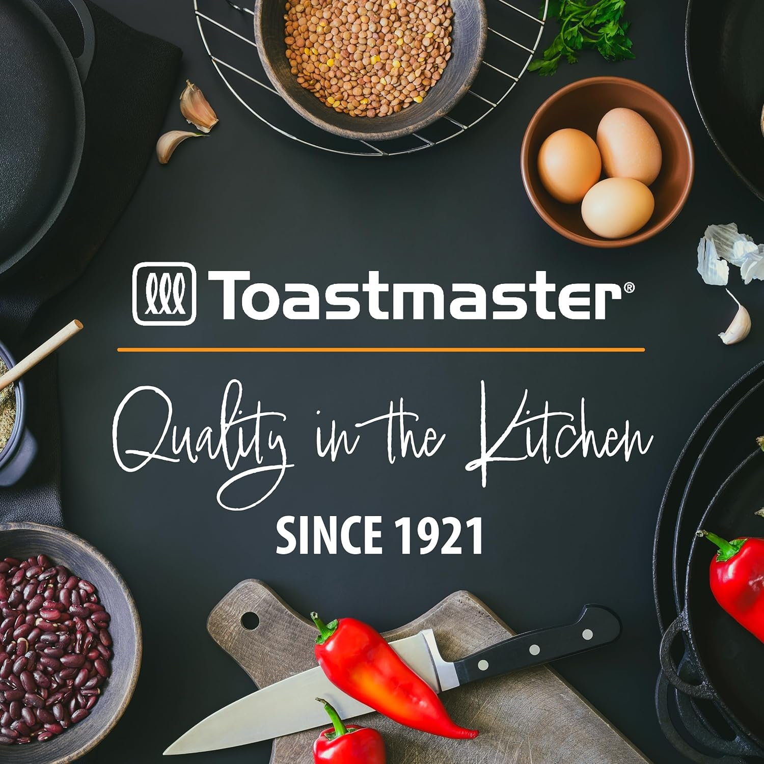 Toastmaster Electric Double Burner [Coil]