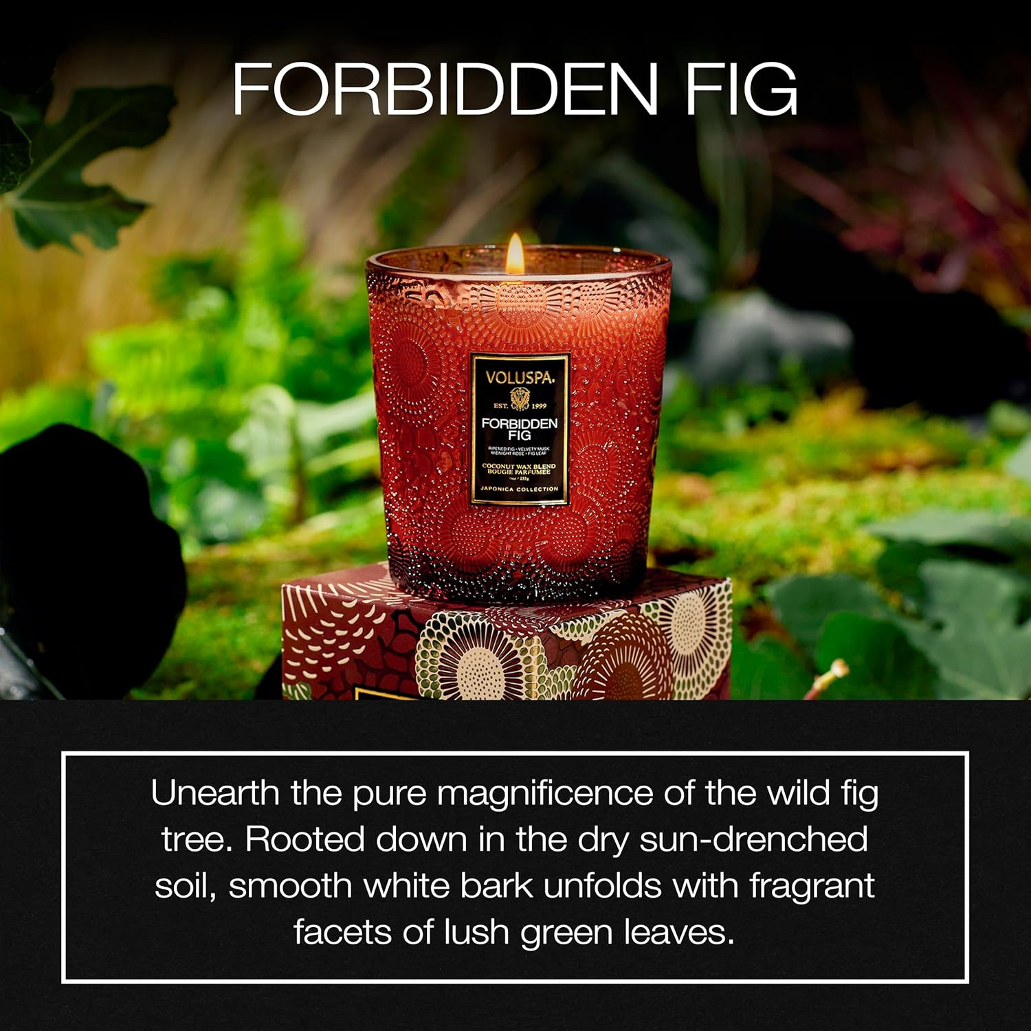 Forbidden Fig Scented Jar Candle with Coconut Wax Blend