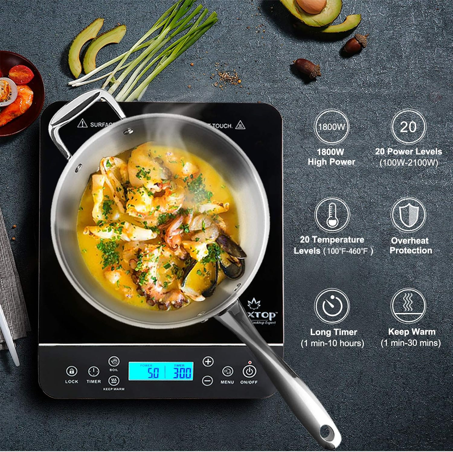 Duxtop Induction Electric Stove Cooktop in Black with Single Burner