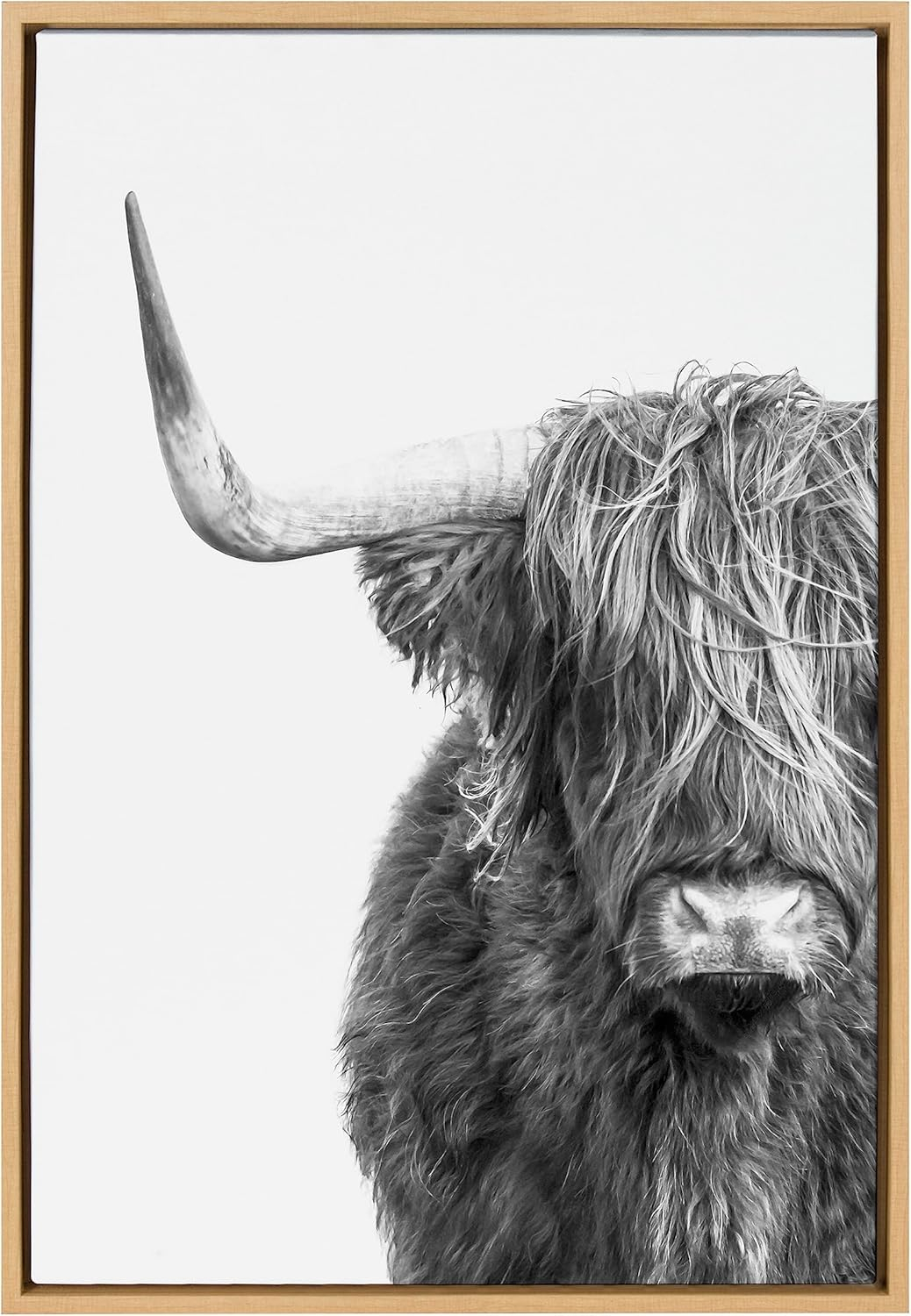 Kate and Laurel Sylvie B&W Highland Cow No. 1 Framed Canvas Wall Art by Amy Peterson Art Studio, 23x33 Natural, Black and White Animal Portrait Art