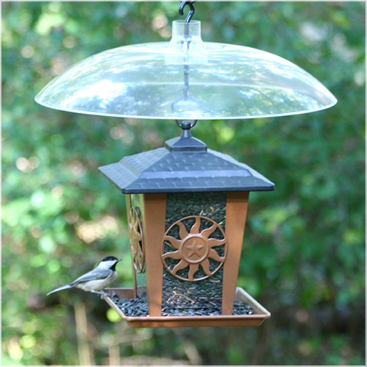 Plastic Squirrel Guard