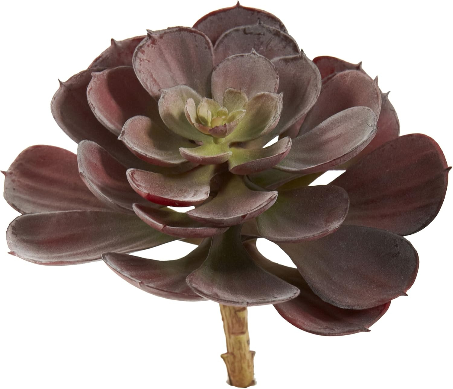 Nearly Natural 6 Echeveria Succulent - Set of 12 Burgundy