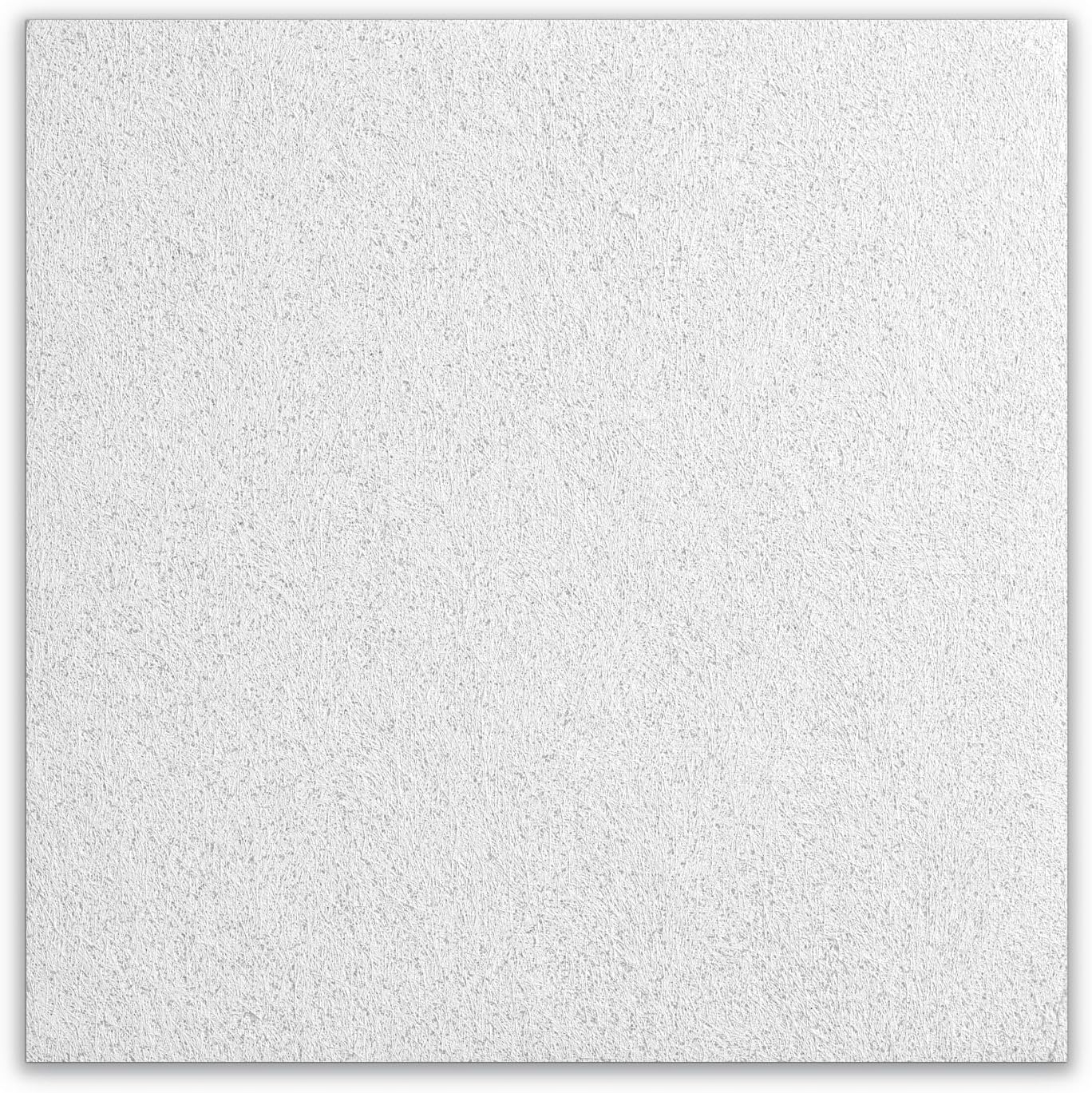 Armstrong Ceiling Tiles; 2x2 Ceiling Tiles - 16 pcs White Ceiling Tiles; Acoustic Ceilings for Suspended Ceiling Grid; CANYON 1490