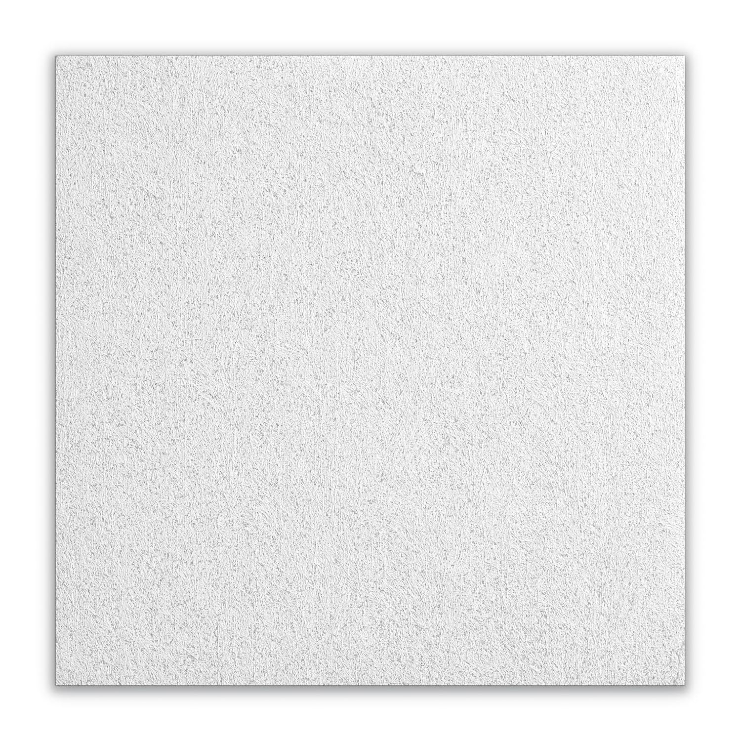 Armstrong Ceiling Tiles; 2x2 Ceiling Tiles - 16 pcs White Ceiling Tiles; Acoustic Ceilings for Suspended Ceiling Grid; CANYON 1490
