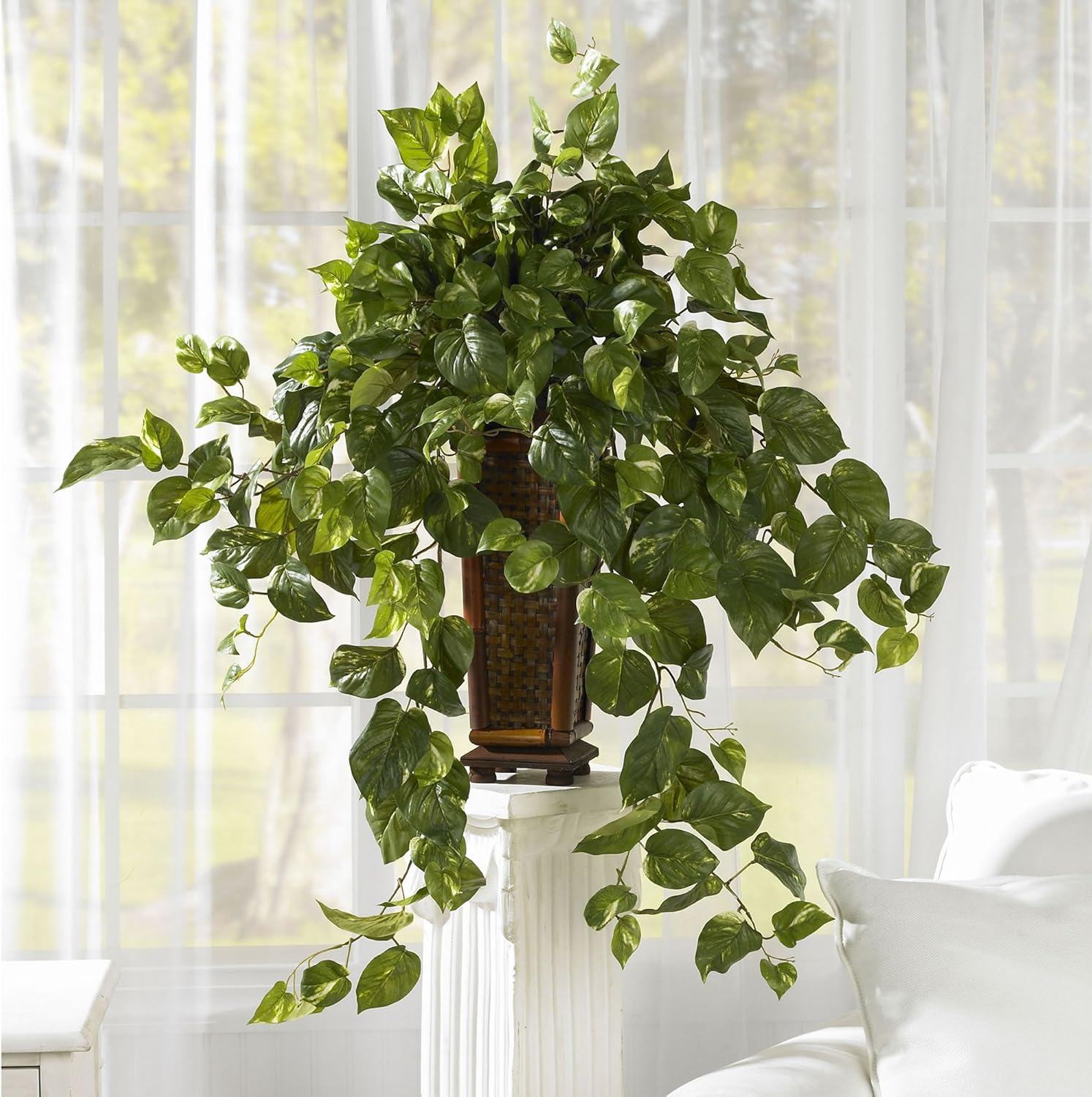 Green Silk Vining Pothos Floor Plant with Ornate Wooden Planter