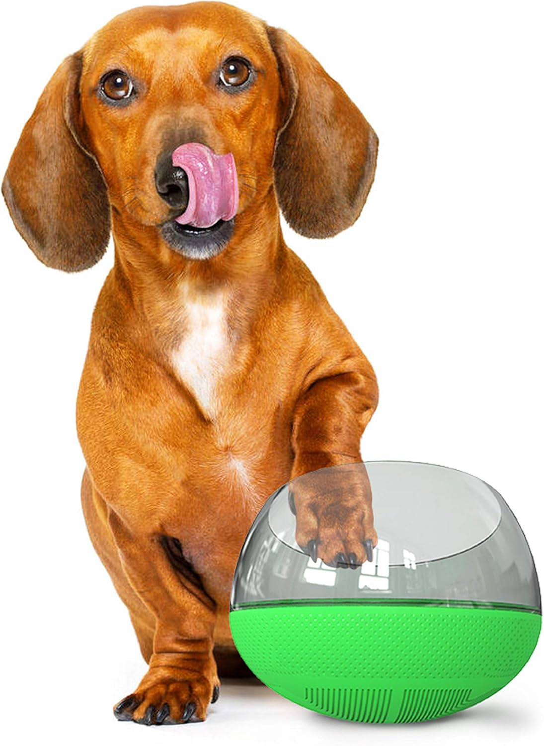 ANYPET Slow Feeder Bowl for Small Medium Dogs Cats, No-Spill Large Capacity Interactive Feeder, Green (APF03G)