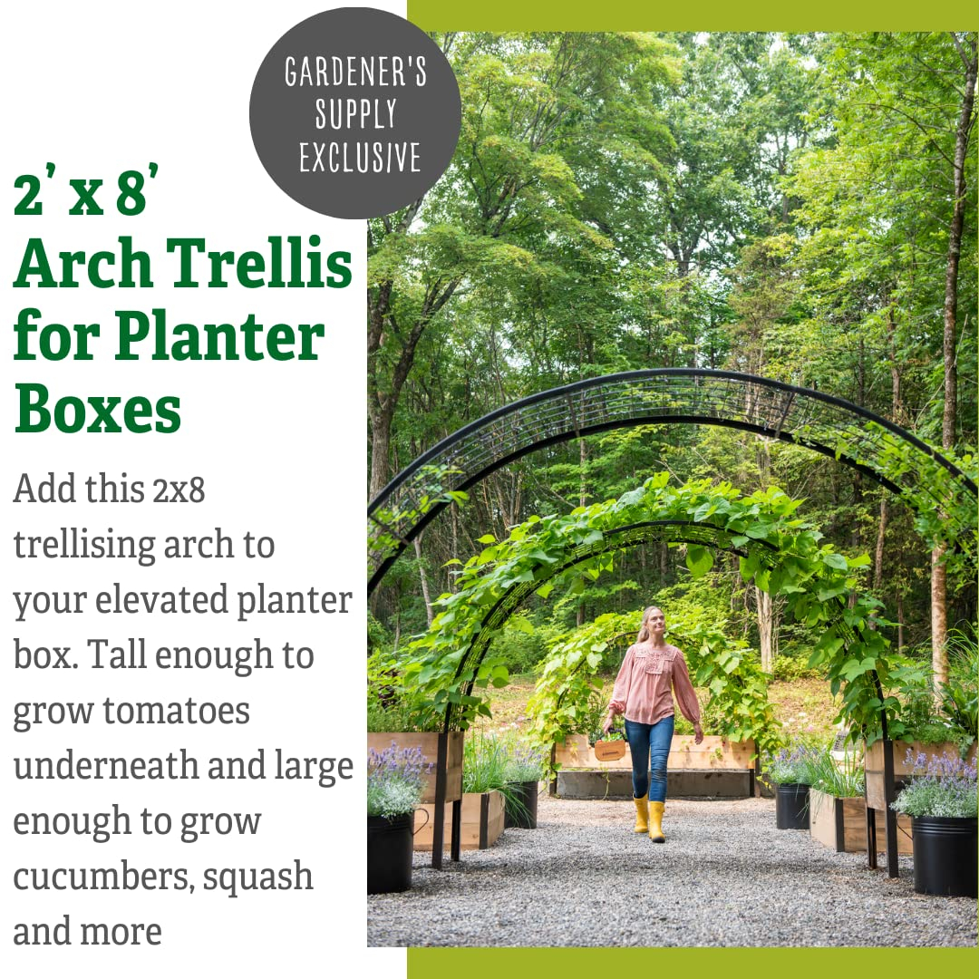 Gardener's Supply Company 2’ x 8’ Arch Trellis for Planter Boxes