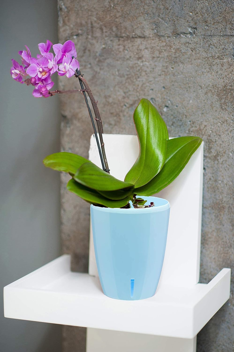 DECOPOTS - Self Watering Orchids Pot - Plant Pots Ideal for Orchid Flower - Drainage and Water Level Indicator - Planter Pot with Self-Watering Feature(5.5 ".9", Blue)