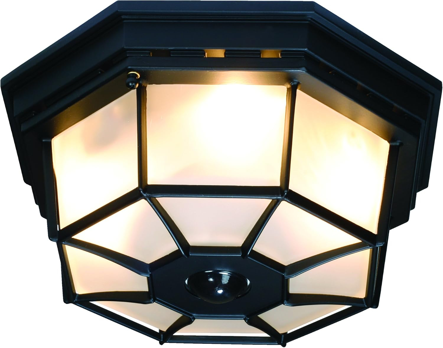 Heath Zenith Motion-Sensing Hardwired Incandescent Black Ceiling Light
