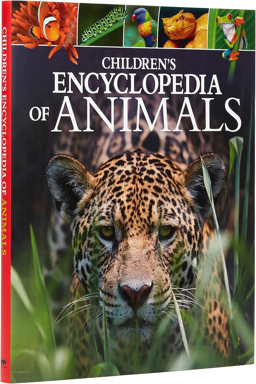 Children's Encyclopedia of Animals - (Arcturus Children's Reference Library) by  Michael Leach & Meriel Lland (Hardcover)