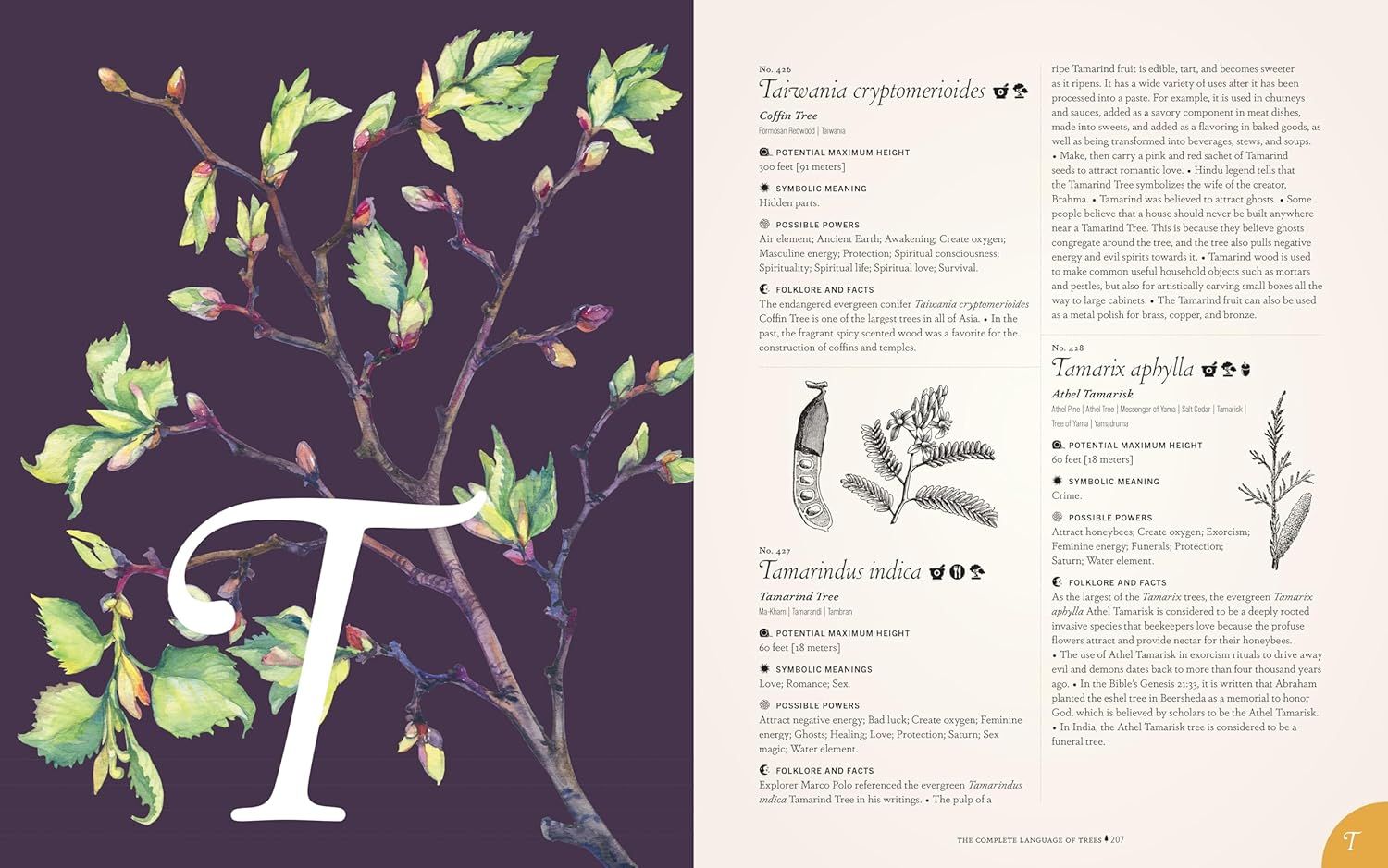 The Complete Language of Trees - Pocket Edition - by  S Theresa Dietz (Hardcover)