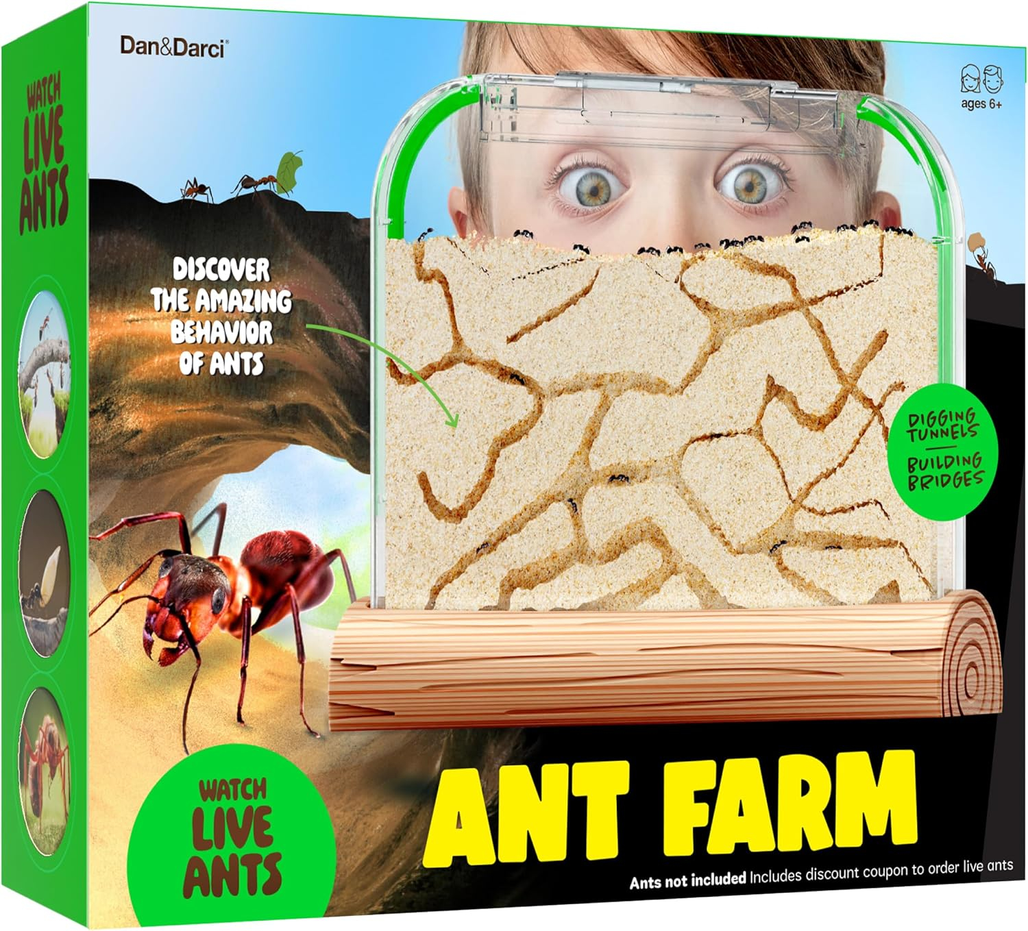 Ant Farm Kit for Kids - Ants Farms Colony - Includes Ant Voucher - Sand Habitat Kits - Bug Terrarium House - Educational Science Gifts for Kids - Nature Learning Toys for Boys, Girls & Adults