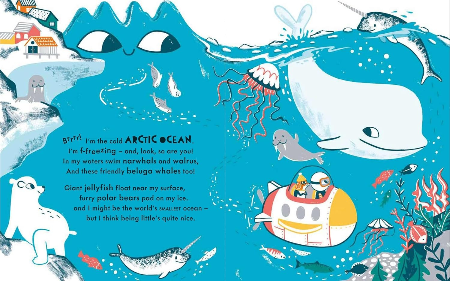 Meet the Oceans Illustrated Kids' Non-fiction Book