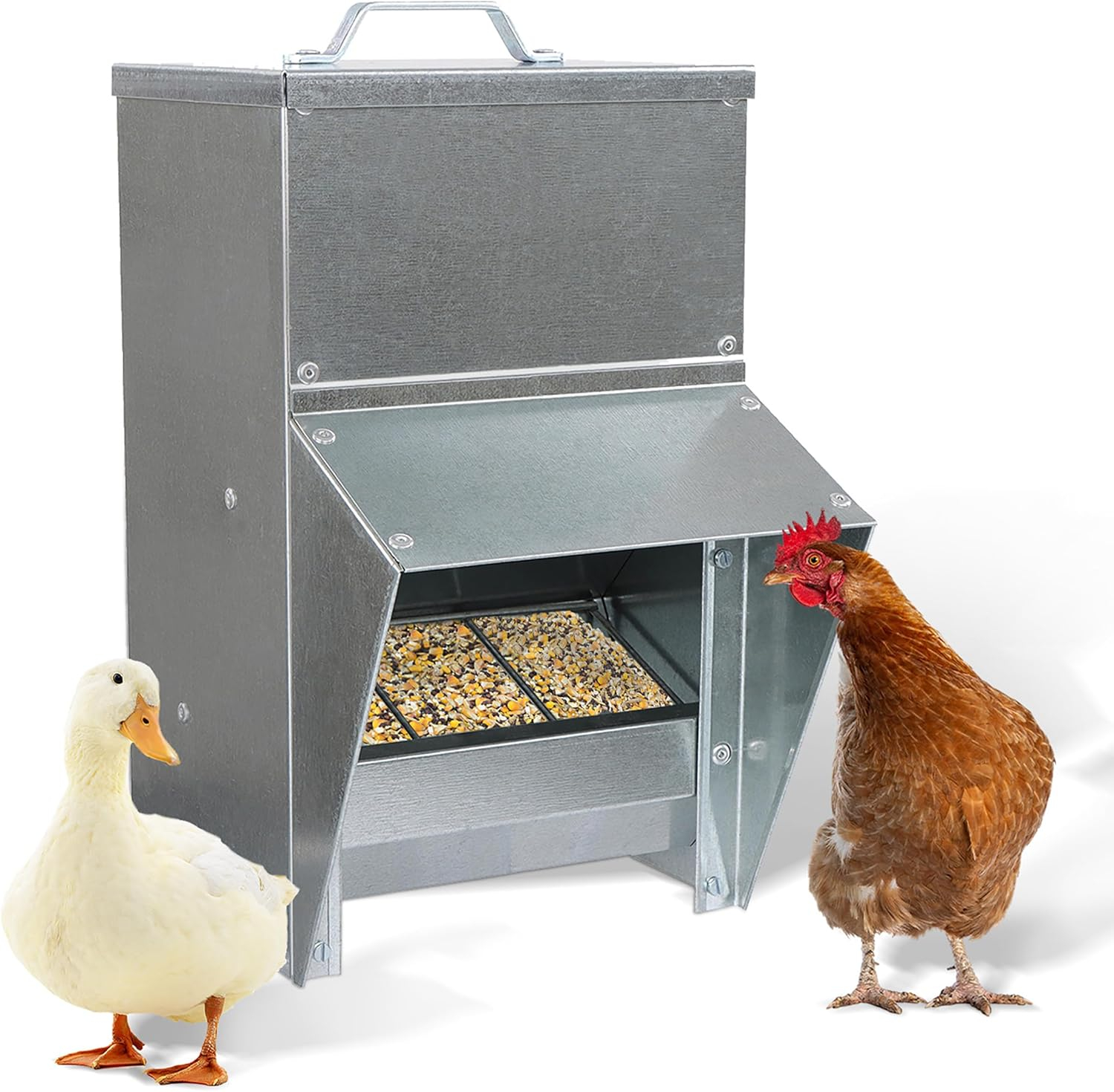 Rural365 11.5lb Capacity Galvanized Chicken Feeder Weatherproof Coop Dispenser