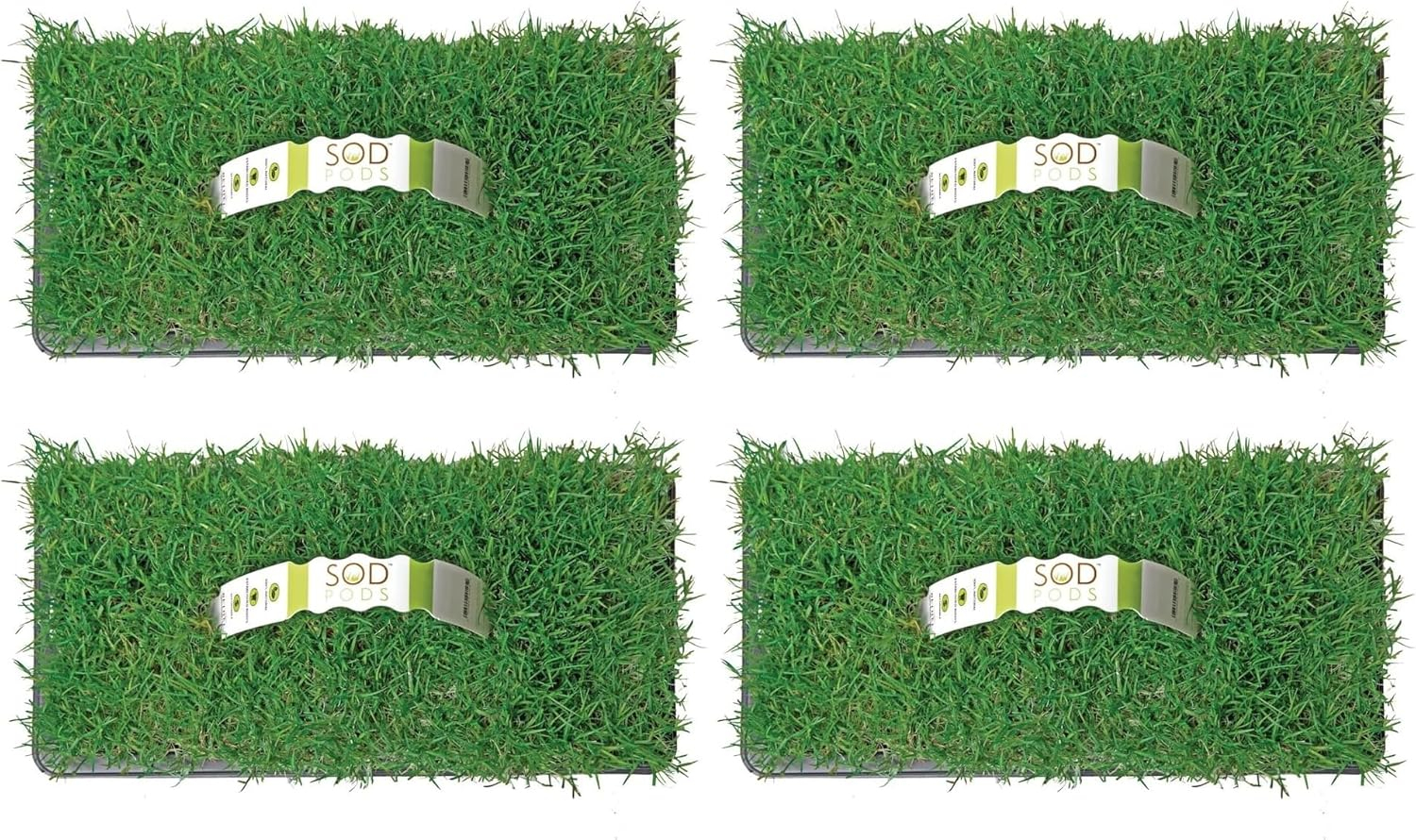 SodPods® Bermuda Grass Plugs (32-Count) Heat & Drought Tolerant Grass, Fast-Spreading, Durable Lawn Repair with Fully Developed Natural Roots – Cannot Ship to CA or AZ