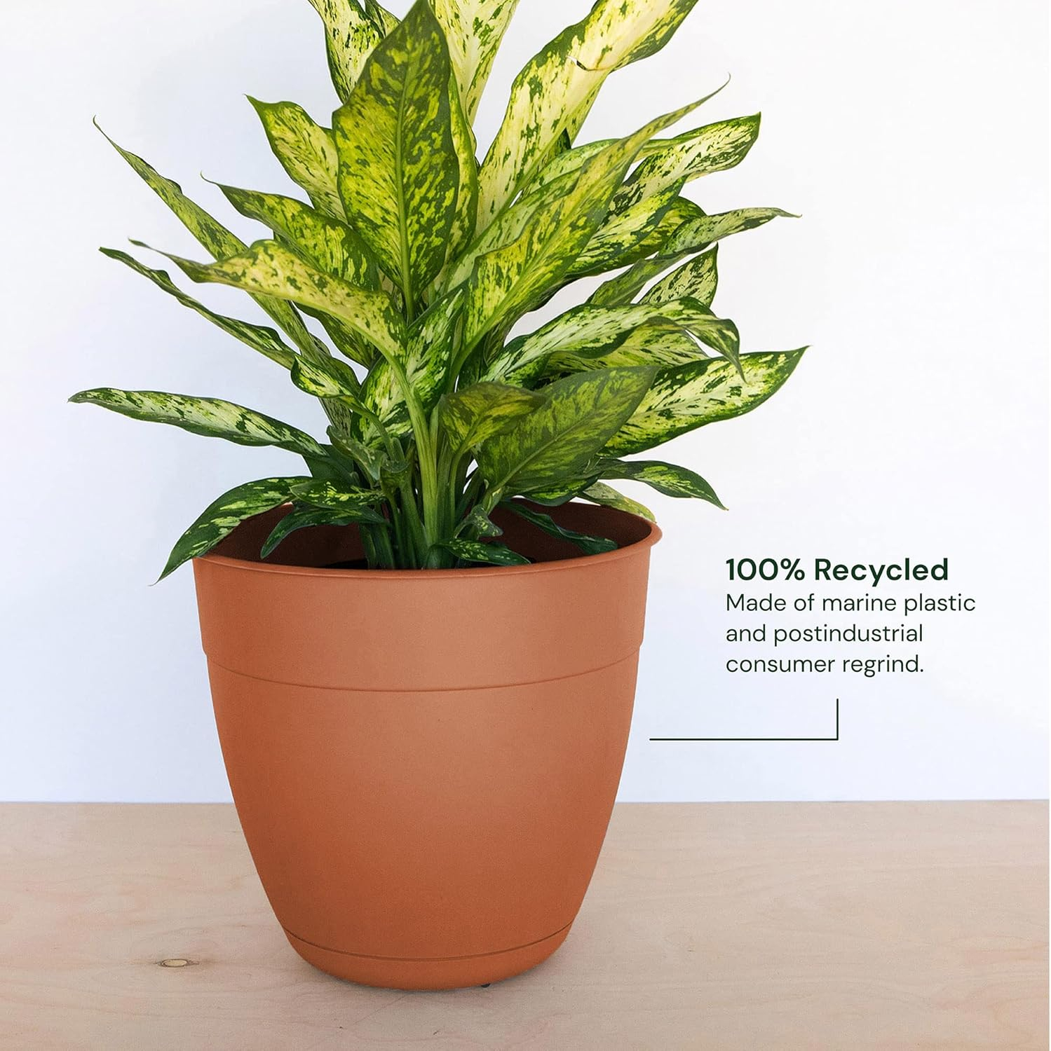 Bloem Dayton Planter With Saucer: 12" - Terra Cotta - 100% Recycled Plastic Pot, Removable Saucer, Elevated Feet, For Indoor and Outdoor Use, Gardening, 3 Gallon Capacity