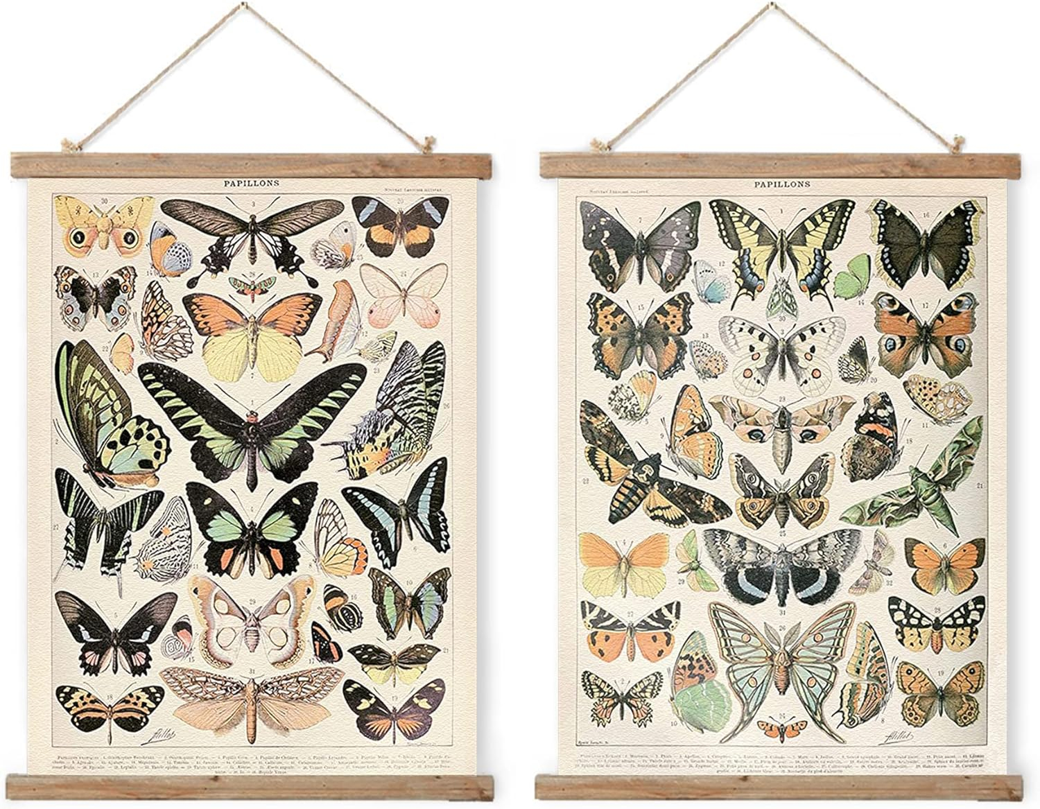 Vintage Illustrative Reference Plant Hanging Poster, Retro Style of Botanical Wall Art Prints, Printed on Linen with Wood Frames, Ready to Hang