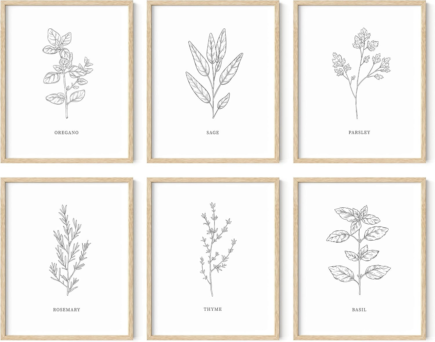 HAUS AND HUES Kitchen Herbs Wall Art Decor for Kitchen Herb Art Prints and Kitchen Signs Wall Decor | Herb Prints Kitchen Wall Art Kitchen Posters for Wall Herb Decor (8"X10" Unframed)