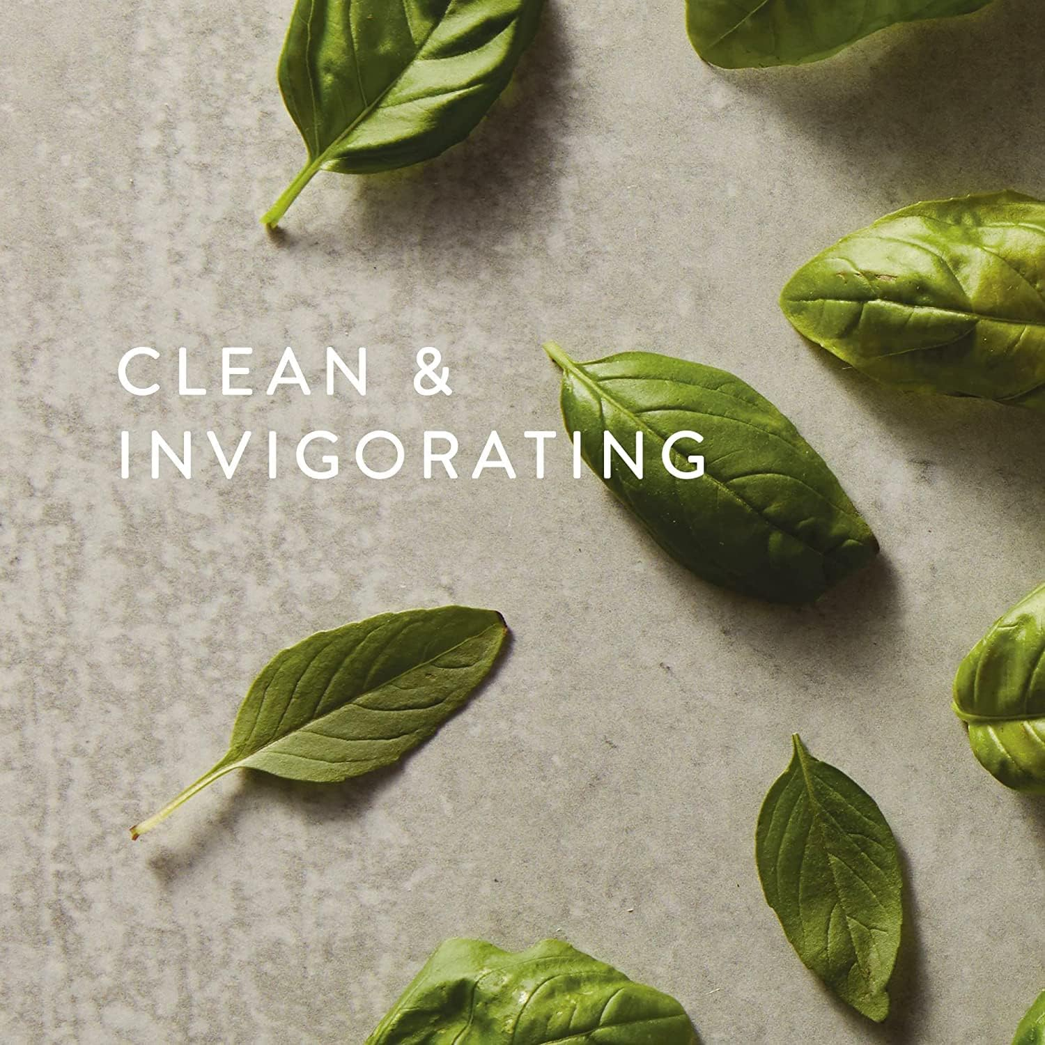 Fresh-Cut Basil Home Fragrance Mist with Gold Cap