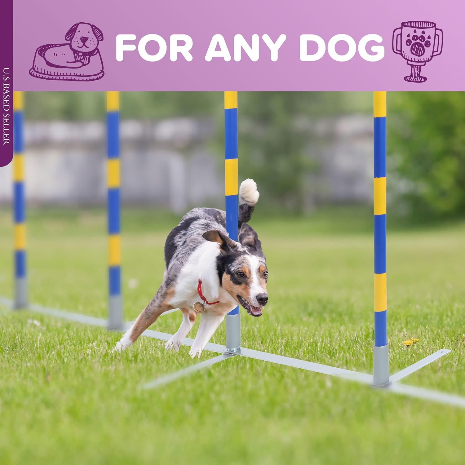 MiMu Dog Agility Equipment - Agility Set Dog Weaving Poles Dog Obstacle Course, Training Equipment, Competition Grade