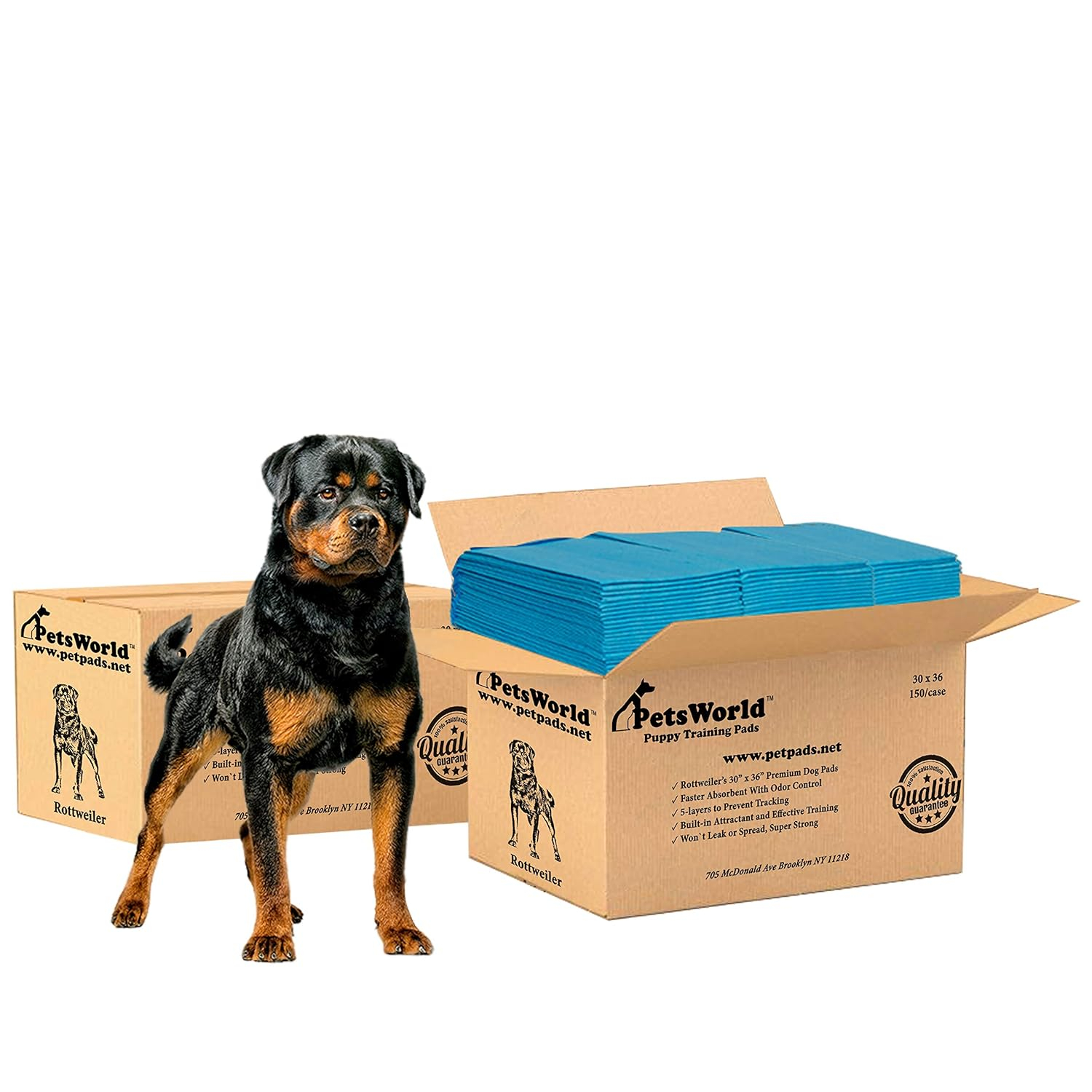 Extra Large Blue Odor Eliminating Dog Potty Pads, 300 Count