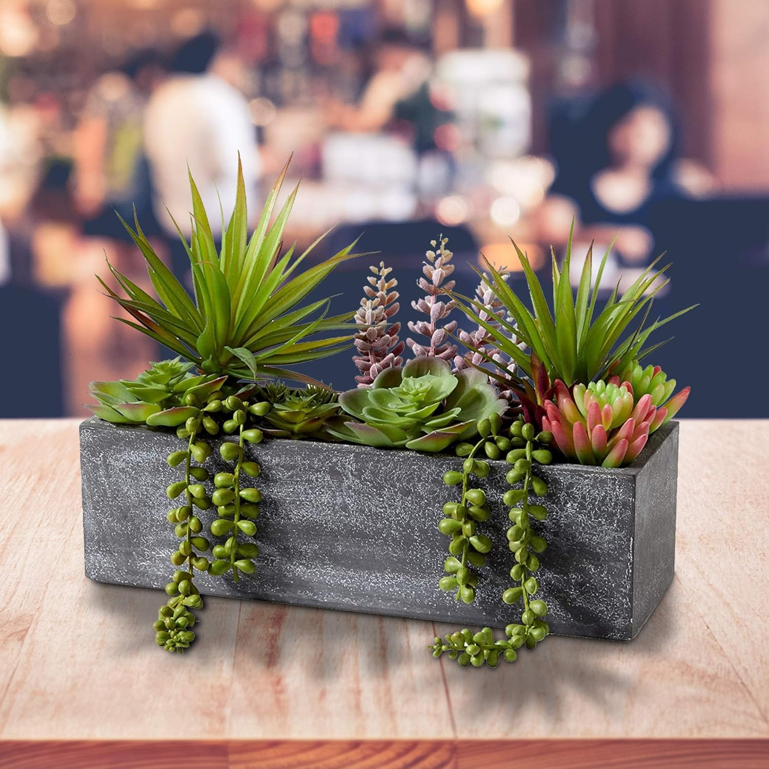 Serene Spaces Living Mixed Succulents in Rectangular Planter, Perfect for Weddings and Home Décor, Real Looking Succulent for Decoration, Sold Individually, Measures 12in Long x 4.5in Wide x 9in Tall