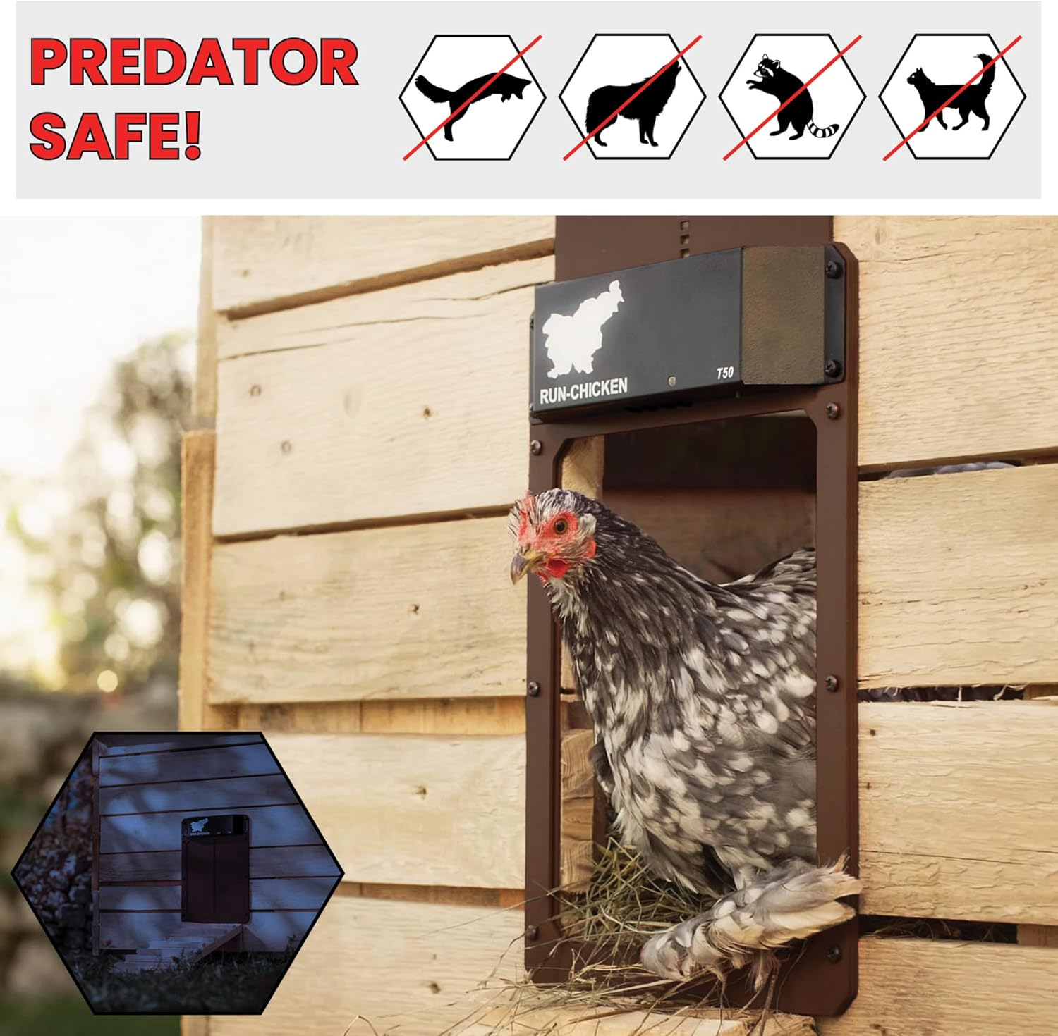 RUN-CHICKEN Door (Brown) Automatic Chicken Coop Door, Programmable with App, Battery Operated, Evening and Morning Delay, Aluminum Door, Electric Chicken Run Door, Model T50