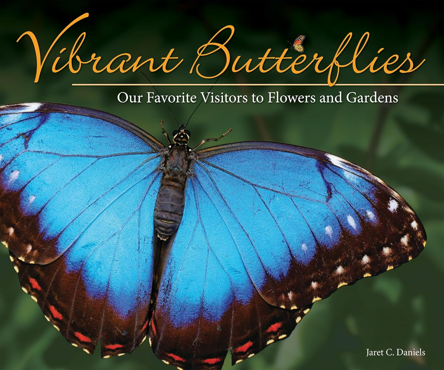 Adventure Publications AP37890 Vibrant Buttrflies Our Favorite Visitors to Flowers and Gardens
