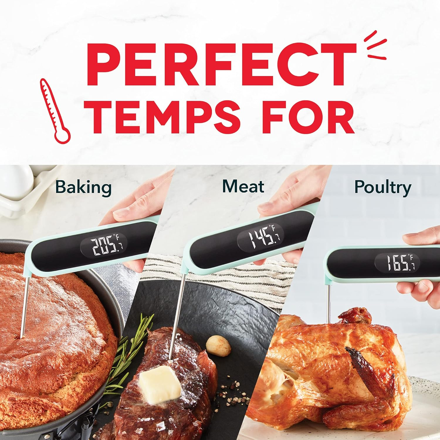 Aqua Digital Quick-Read Waterproof Meat Thermometer