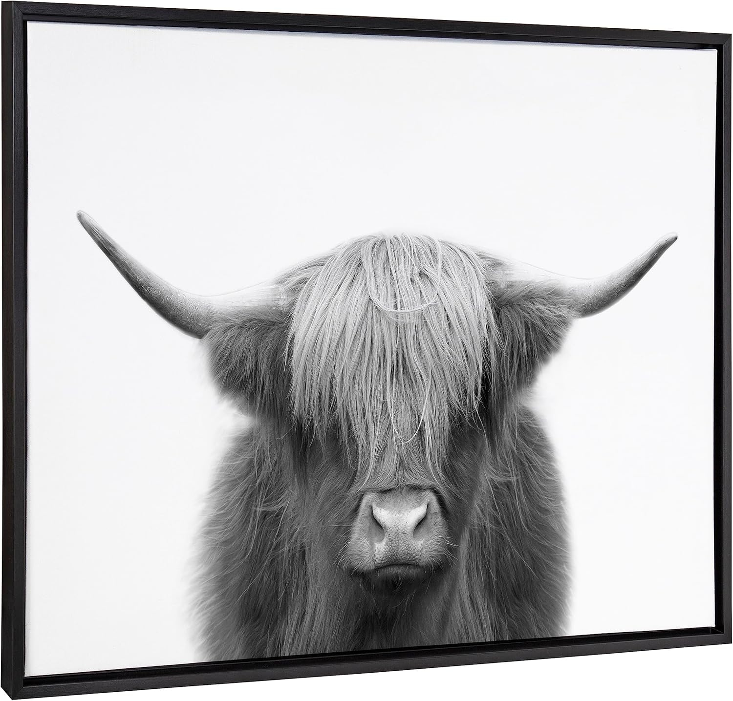 Kate and Laurel Sylvie Hey Dude Highland Cow BW Framed Canvas Wall Art by The Creative Bunch Studio, 28x38 Black, Decorative Farmhouse Animal Art for Wall