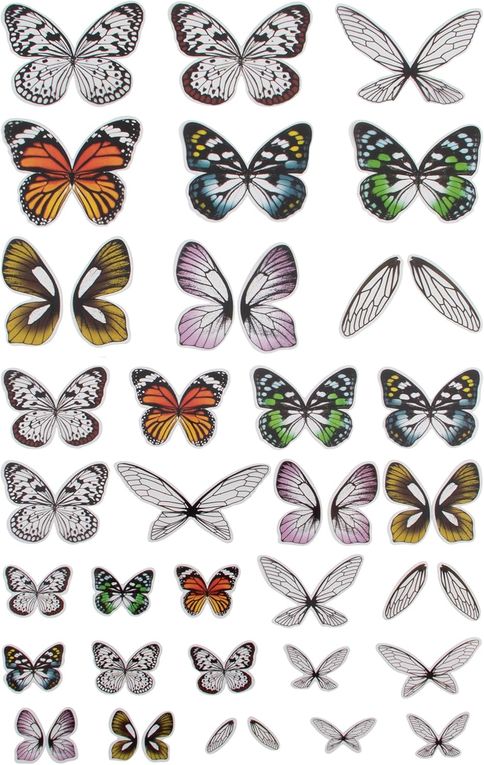 Set of 72 Multicolor Transparent Acetate Butterfly and Dragonfly Wings