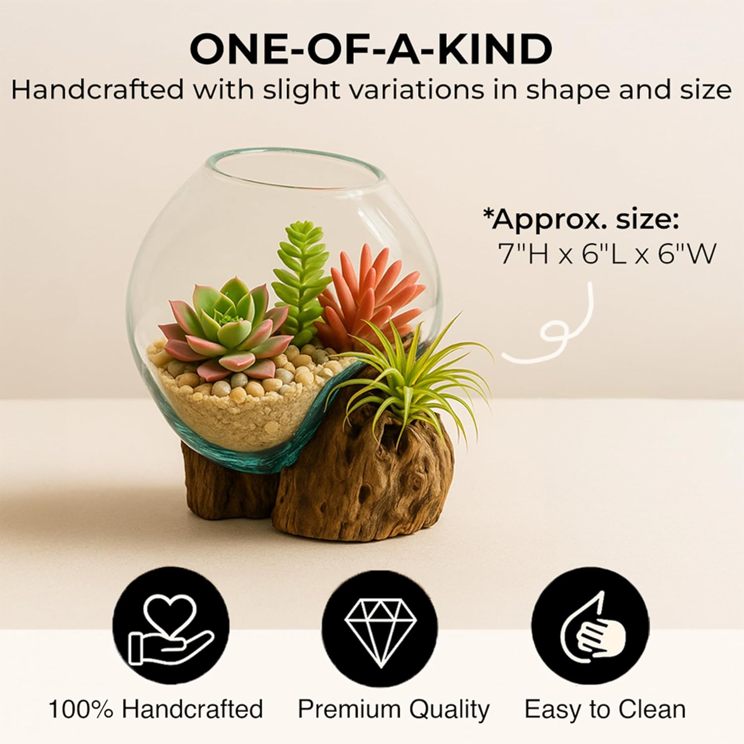Elegant Driftwood & Glass Planter for Outdoor and Indoor Decor
